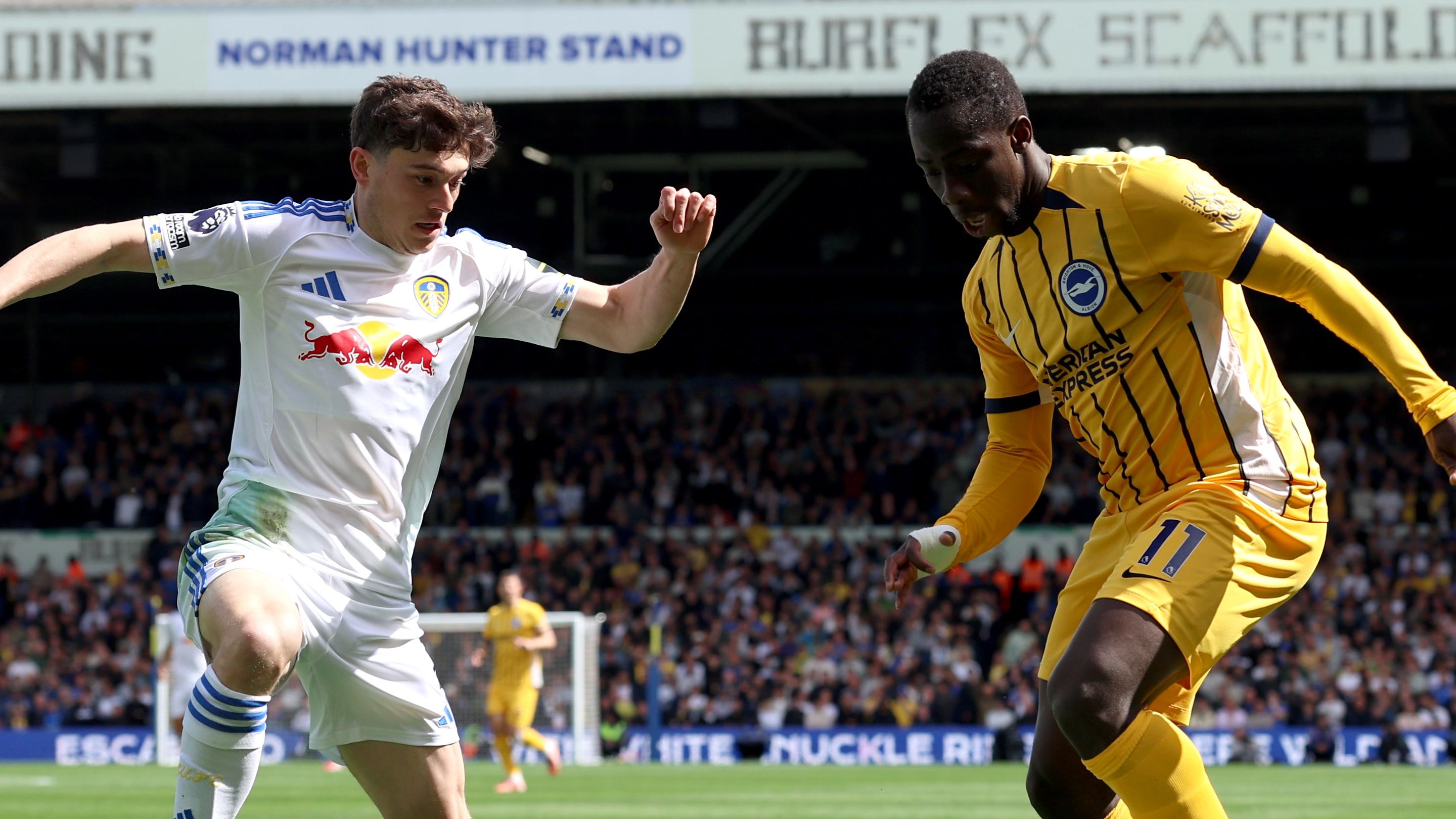 Leeds United v Brighton & Hove Albion - Premier League