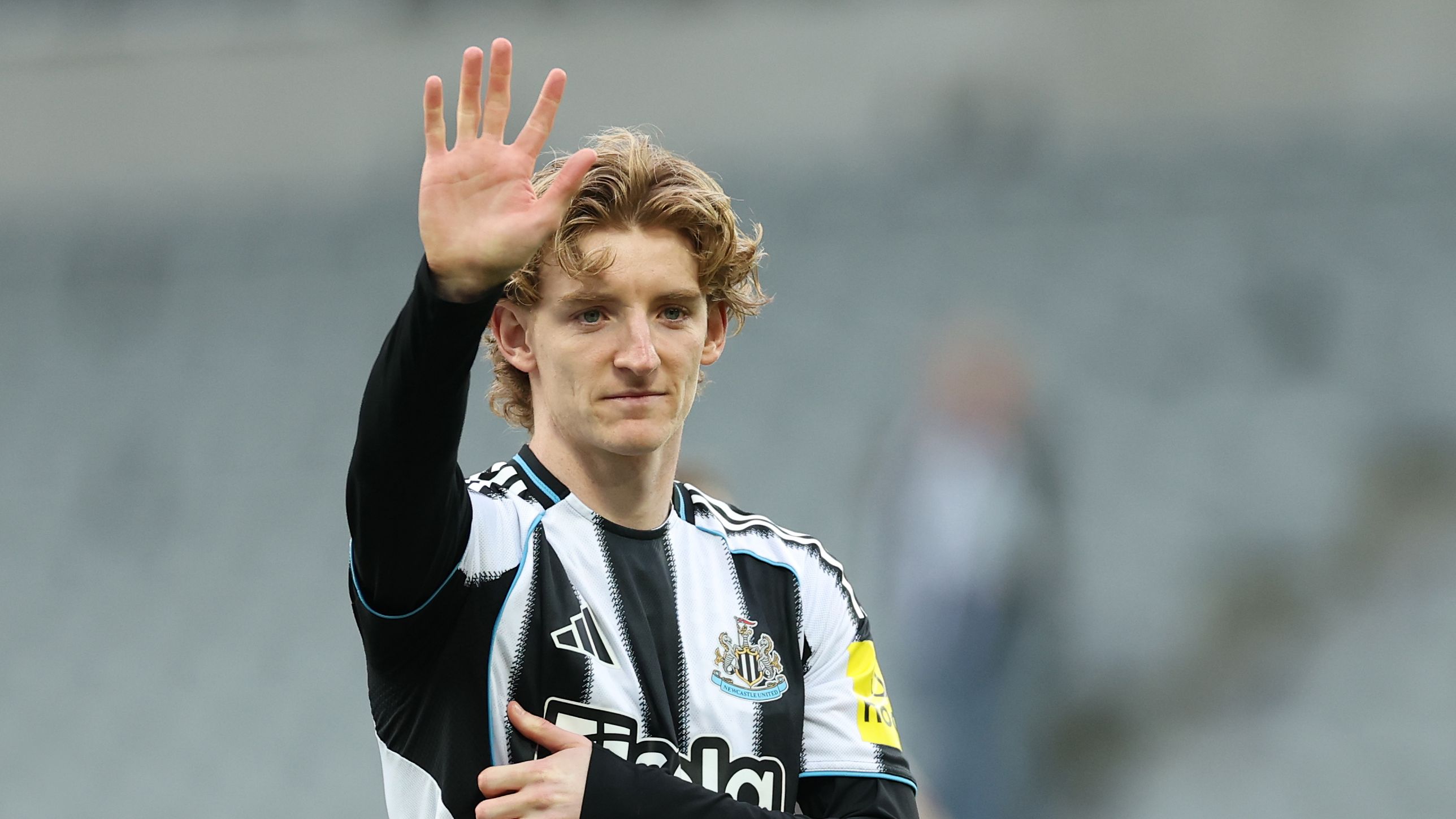 Newcastle United v West Ham United - Premier League