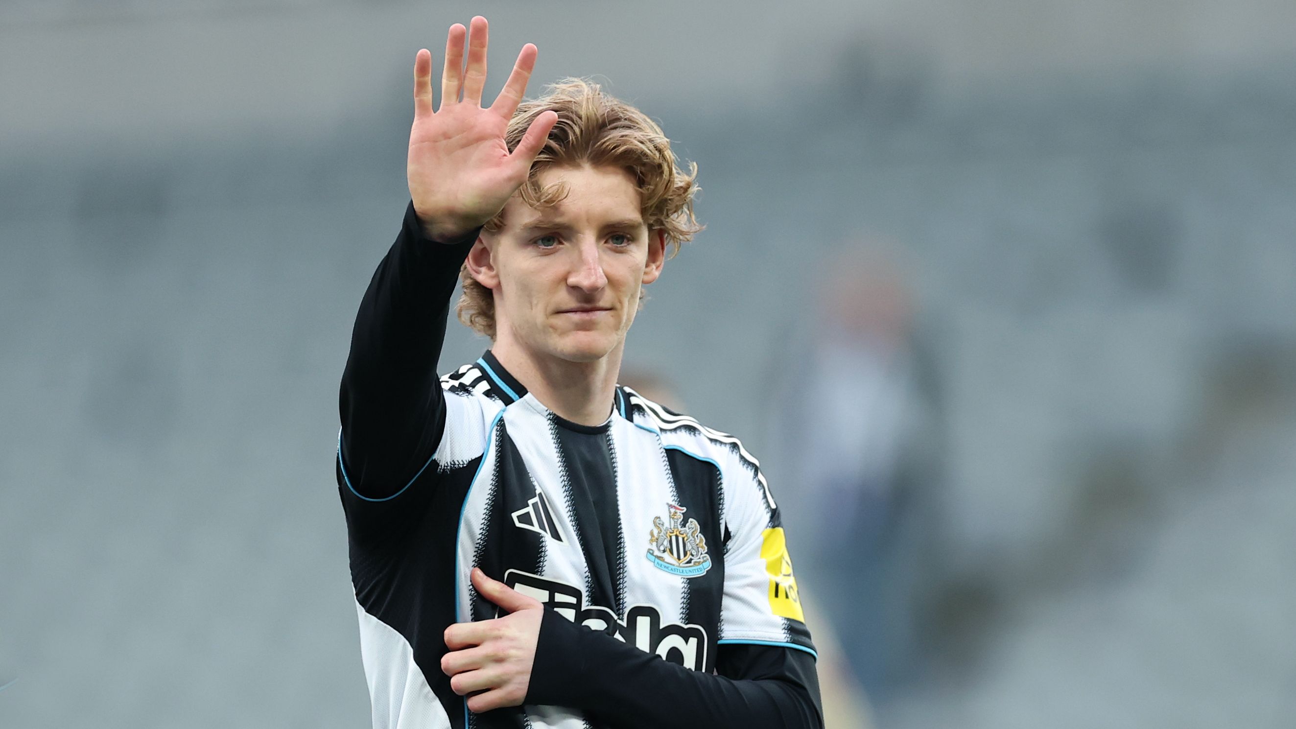 Newcastle United v West Ham United - Premier League