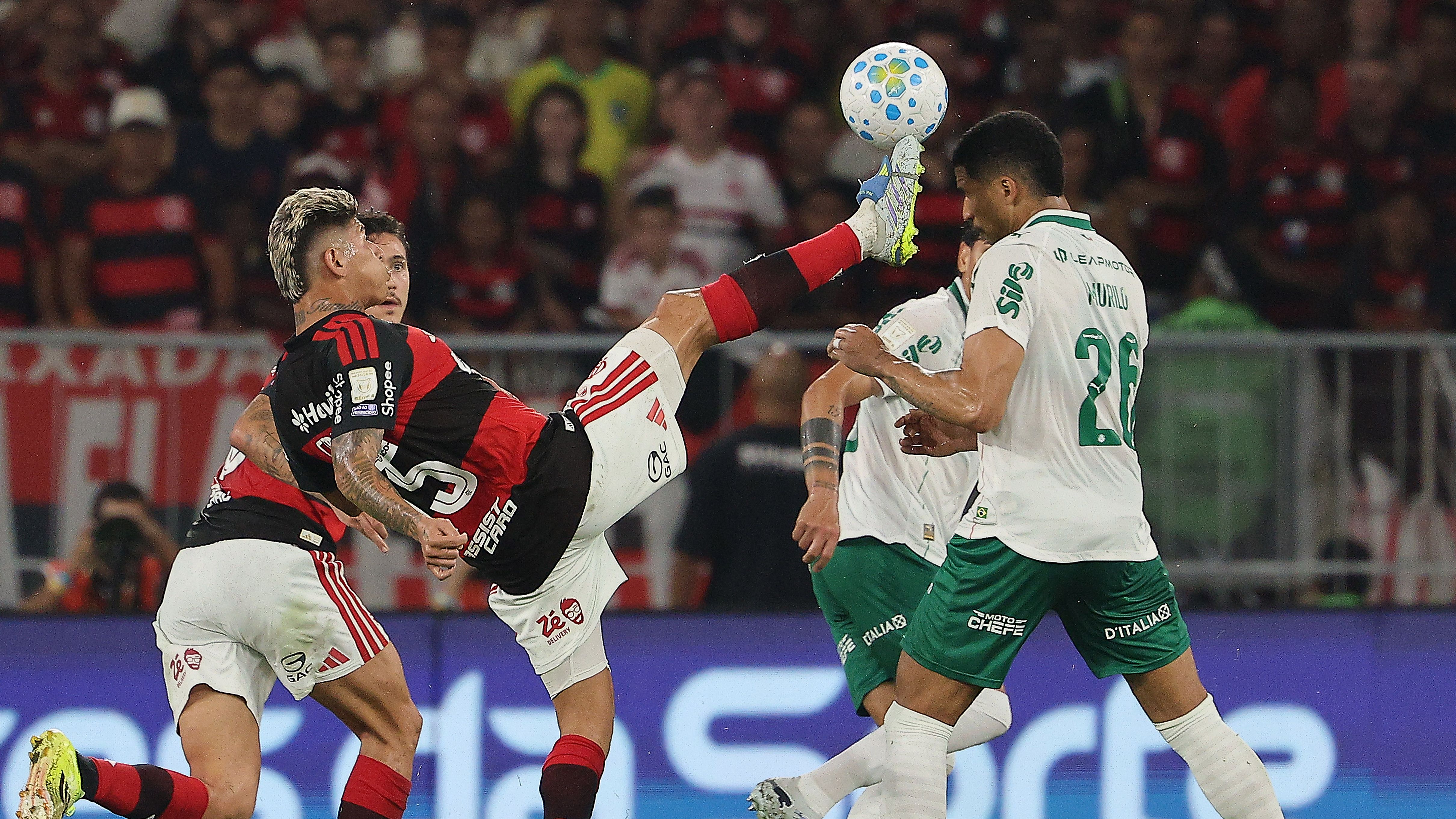 Flamengo v Palmeiras - Brasileirao 2026
