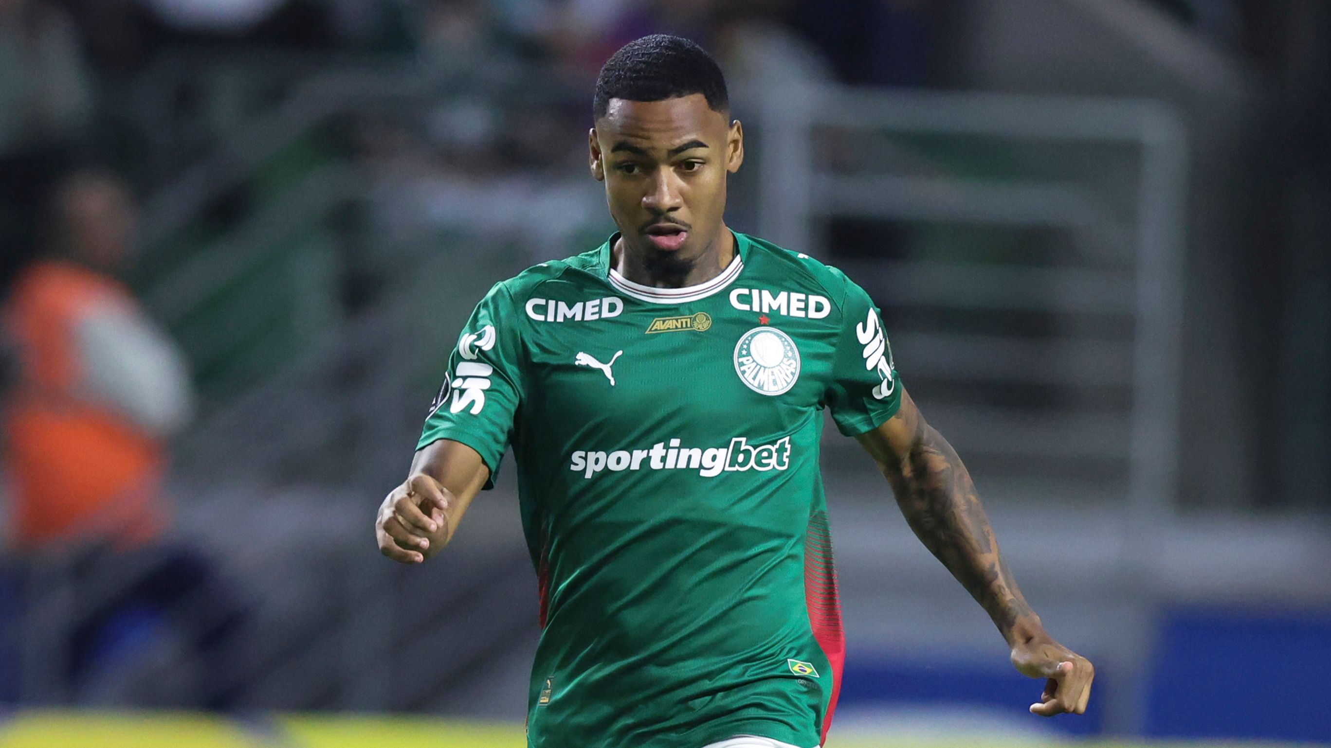 Palmeiras v Cerro Porteño - Copa CONMEBOL Libertadores