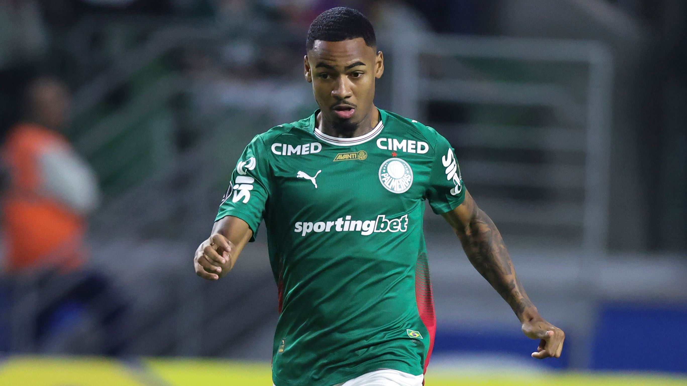Palmeiras v Cerro Porteño - Copa CONMEBOL Libertadores