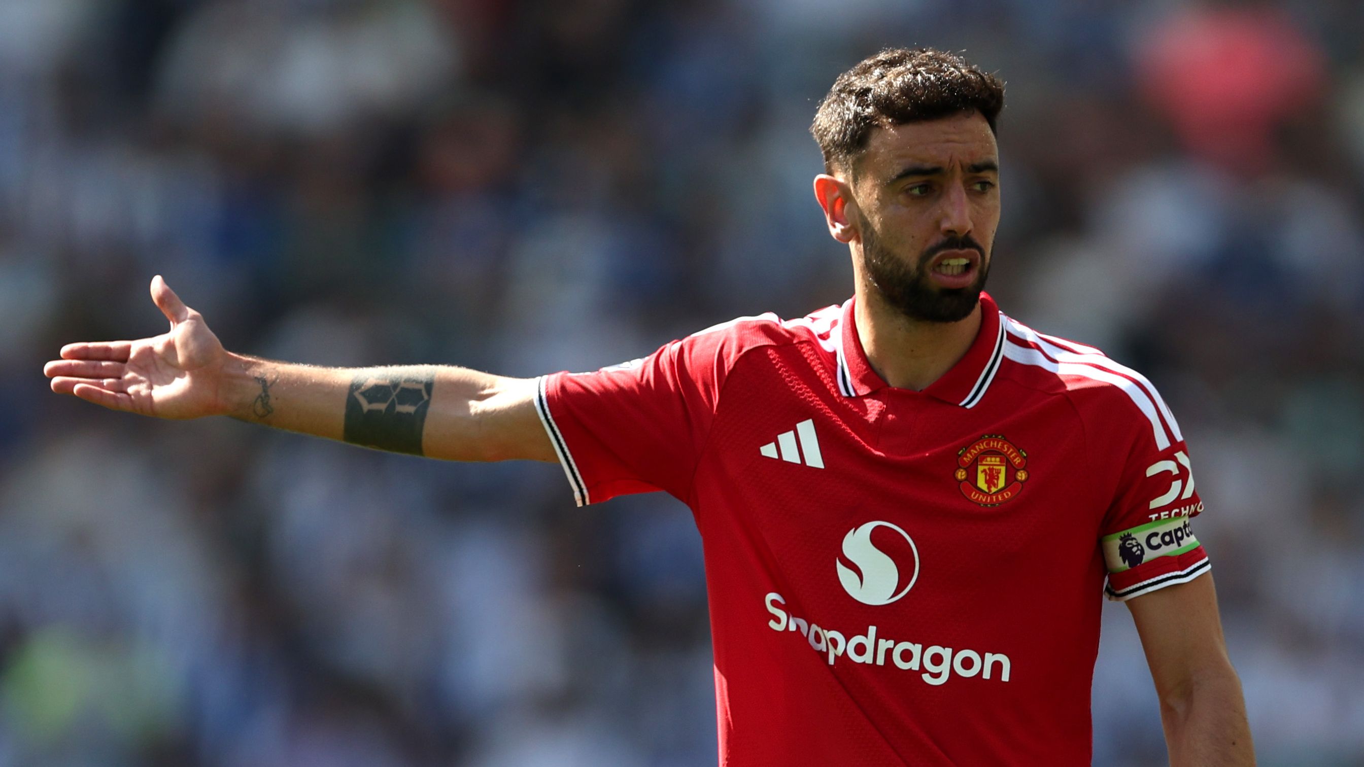 Brighton & Hove Albion v Manchester United - Premier League