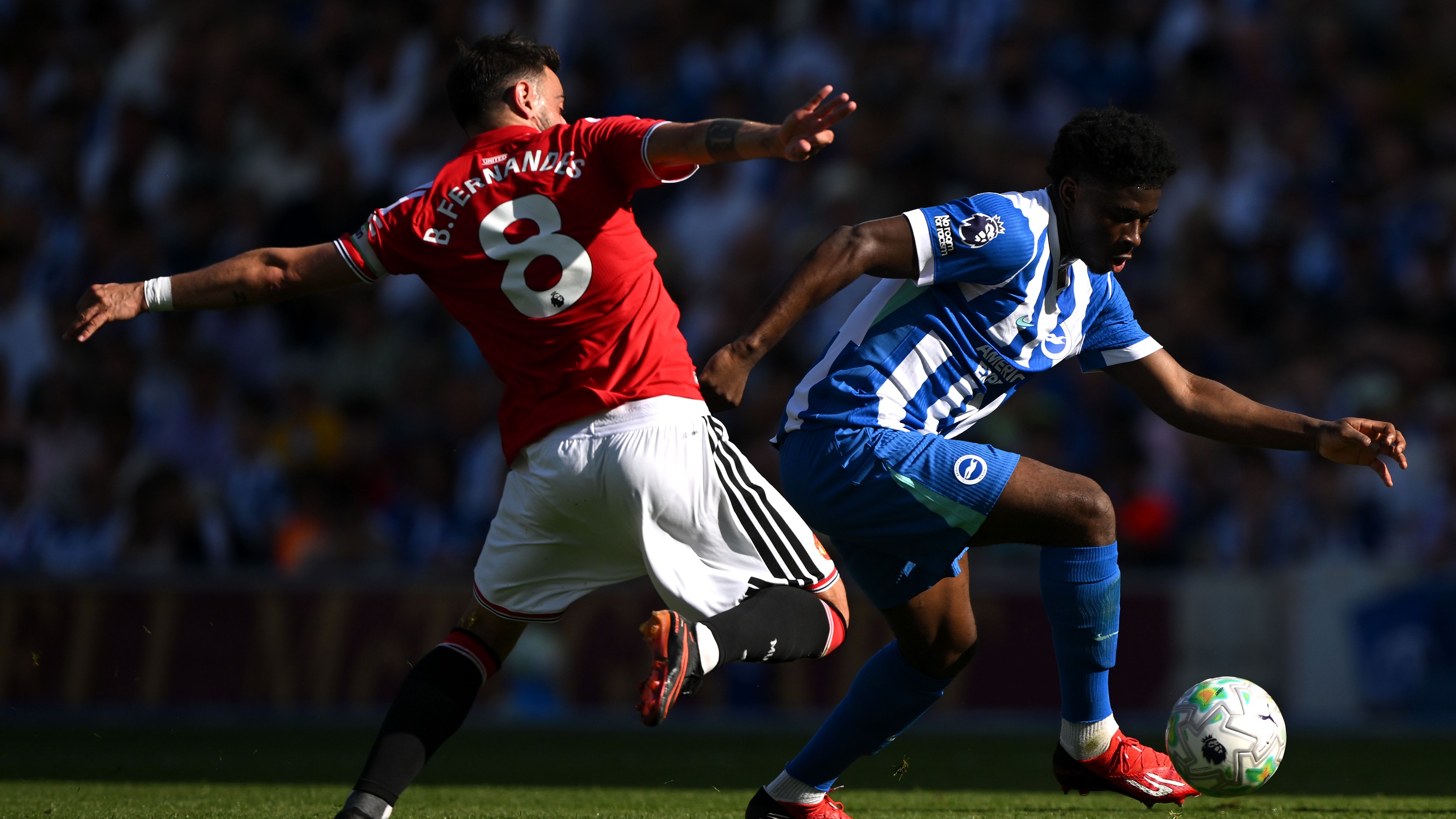 Brighton & Hove Albion v Manchester United - Premier League