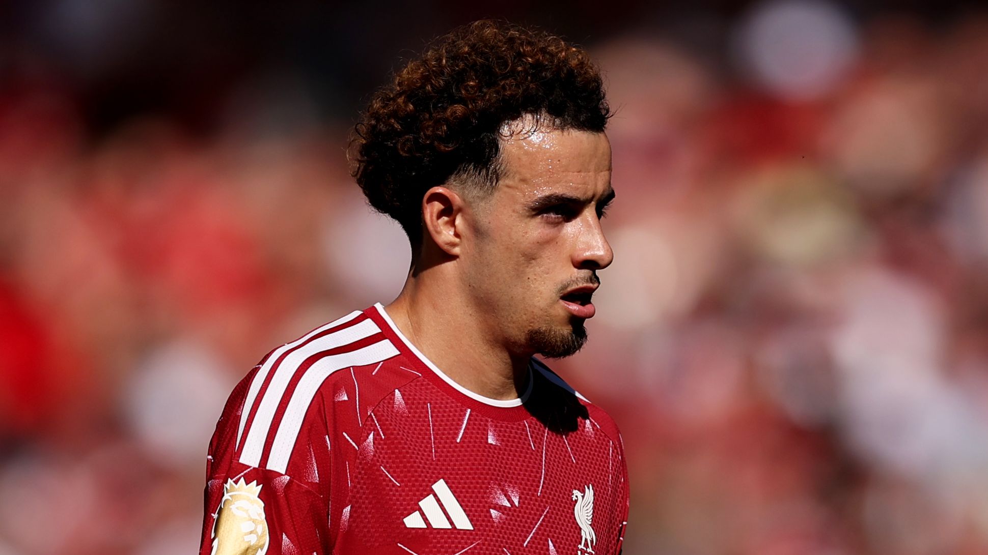 Liverpool v Brentford - Premier League