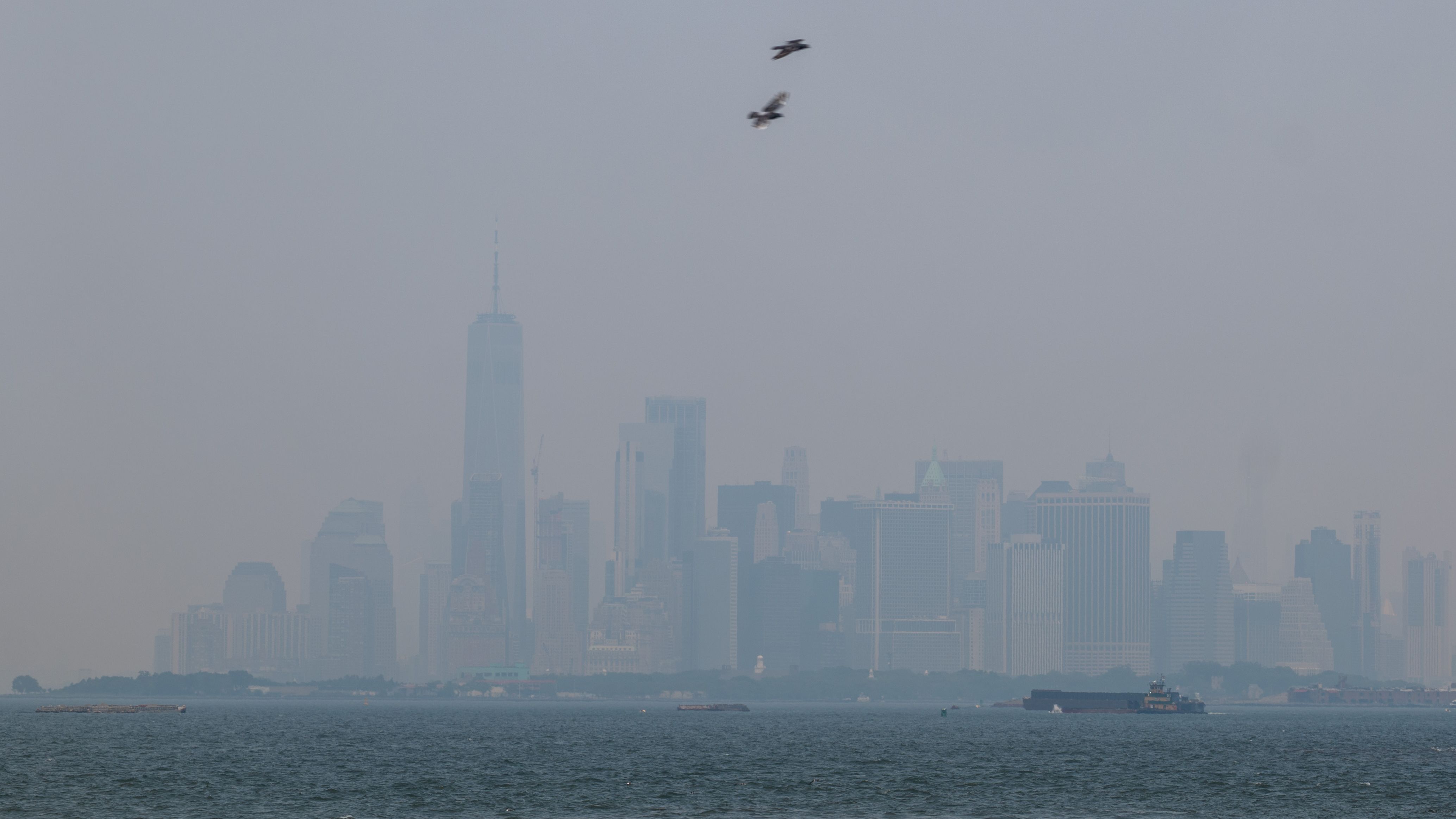 New York Swelters Under Searing Summer Heat Wave