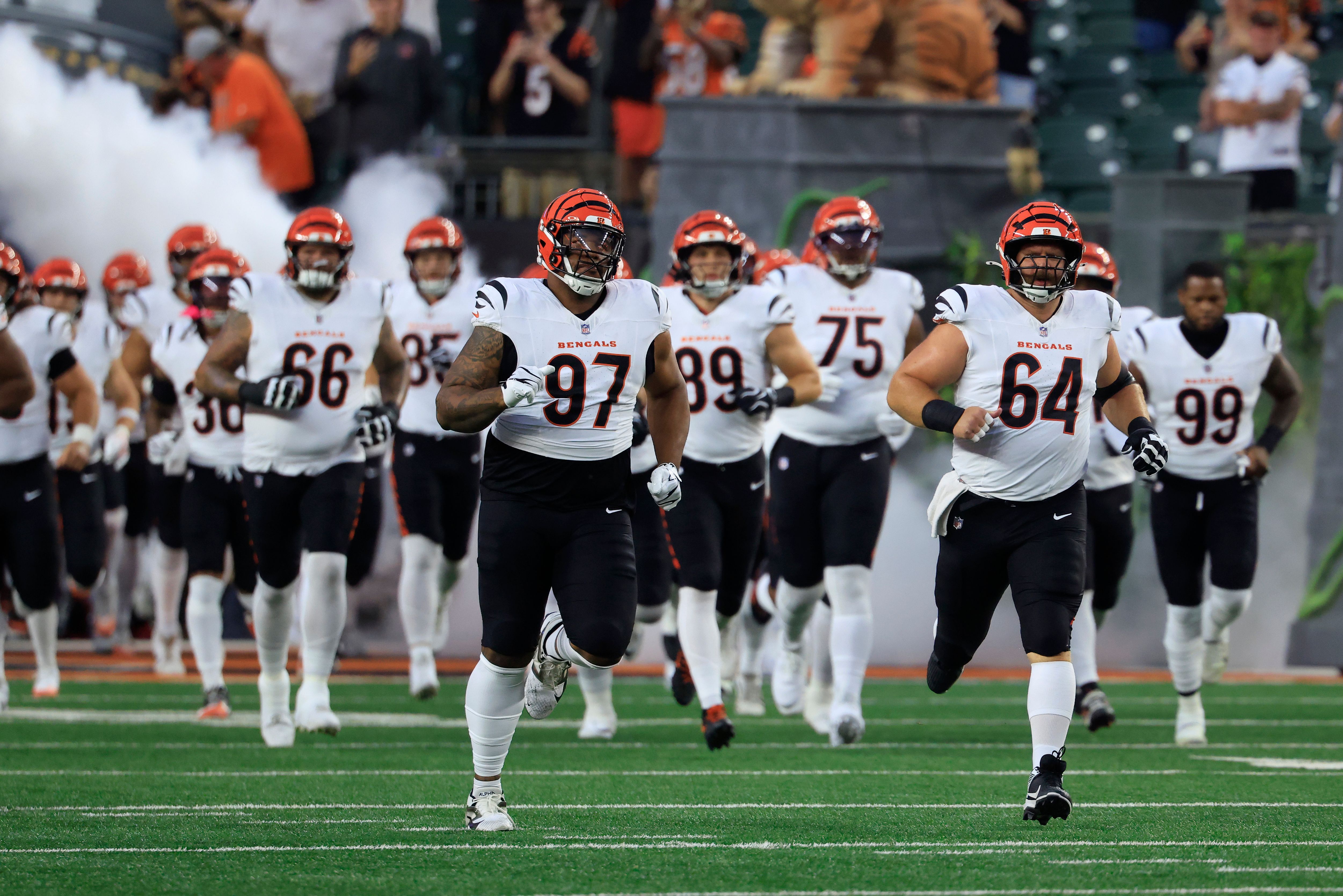 Detroit Lions v Cincinnati Bengals