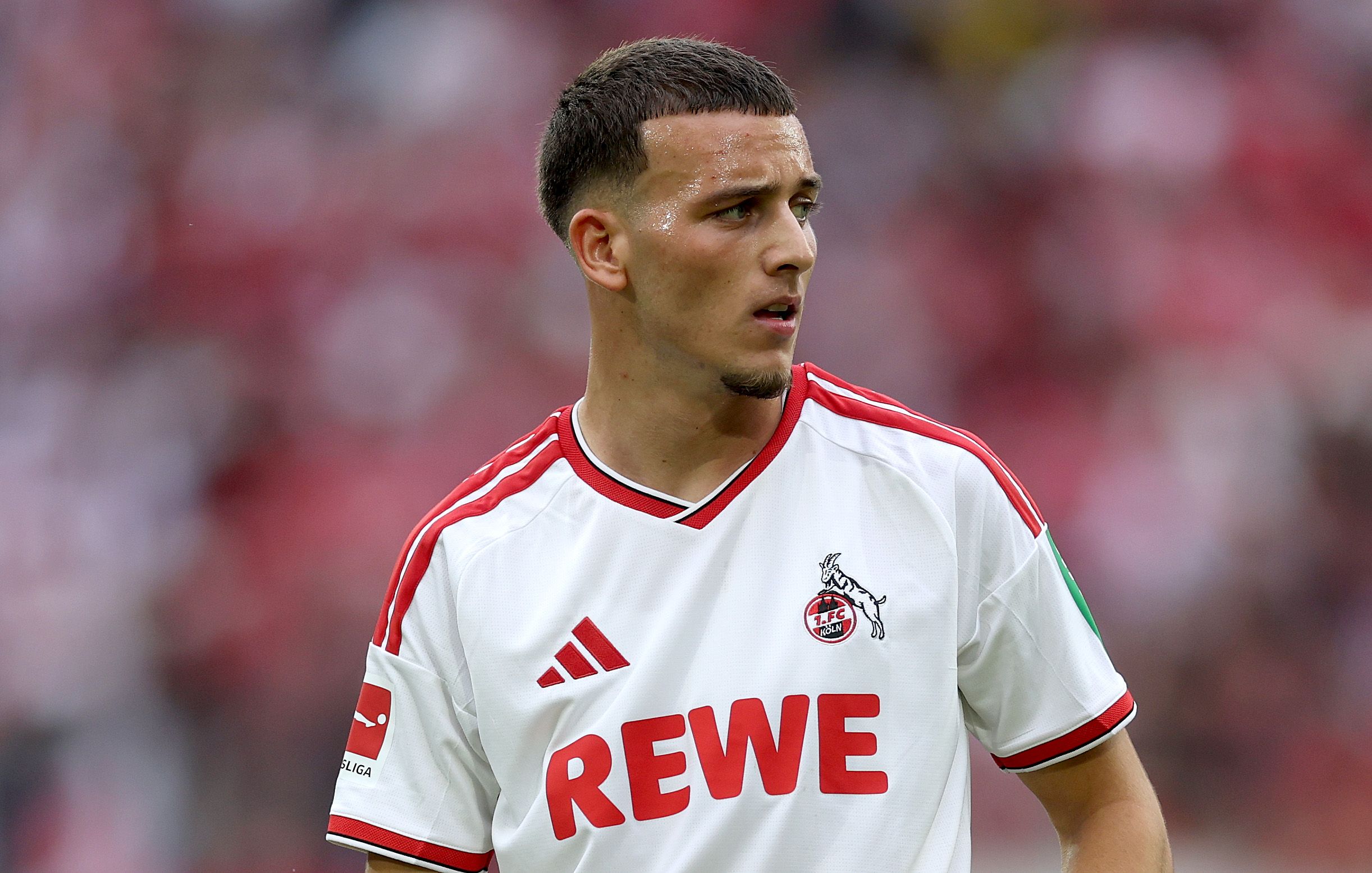 1. FC Köln v TSG Hoffenheim - Bundesliga 2026/27