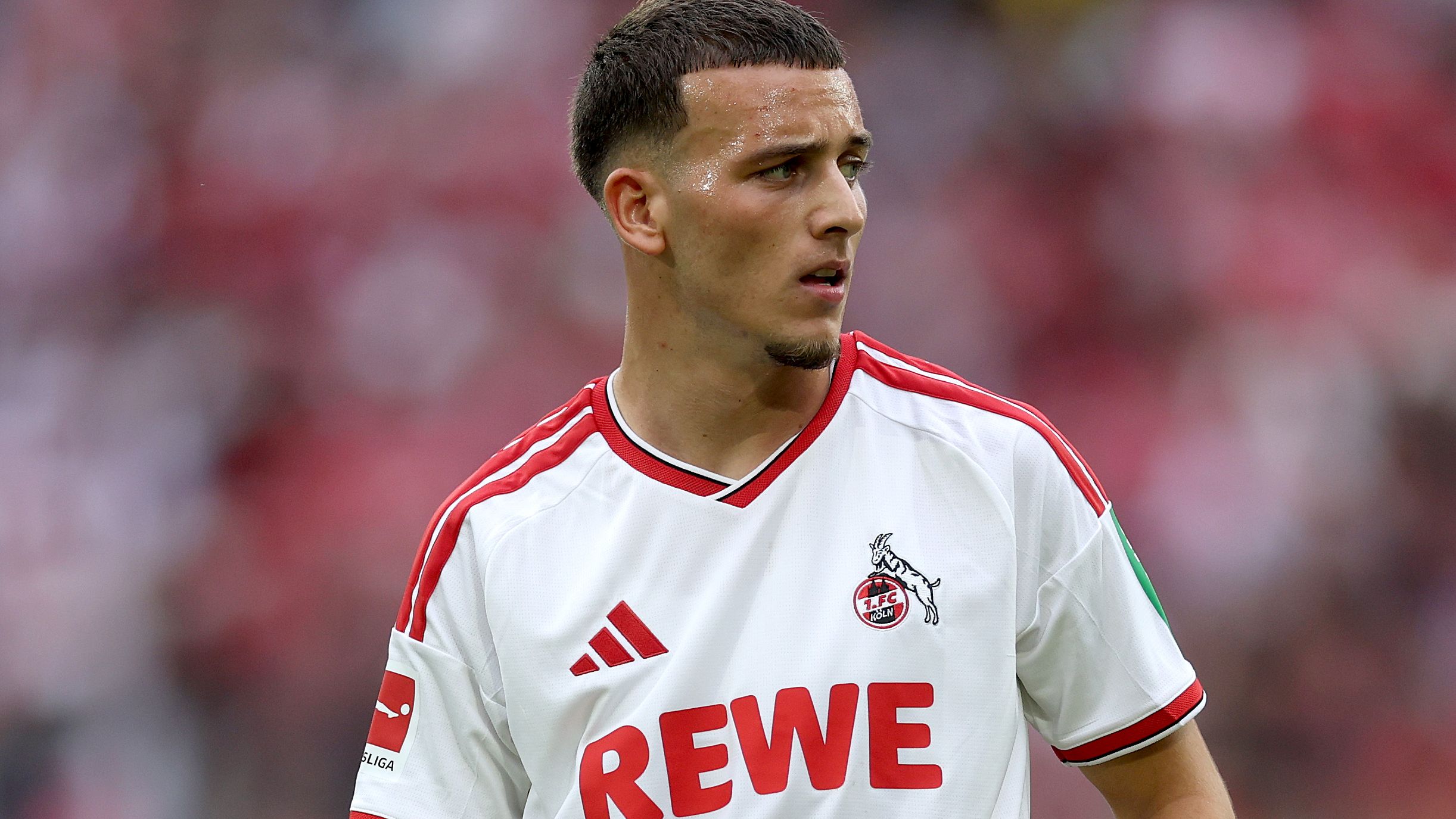 1. FC Köln v TSG Hoffenheim - Bundesliga 2026/27