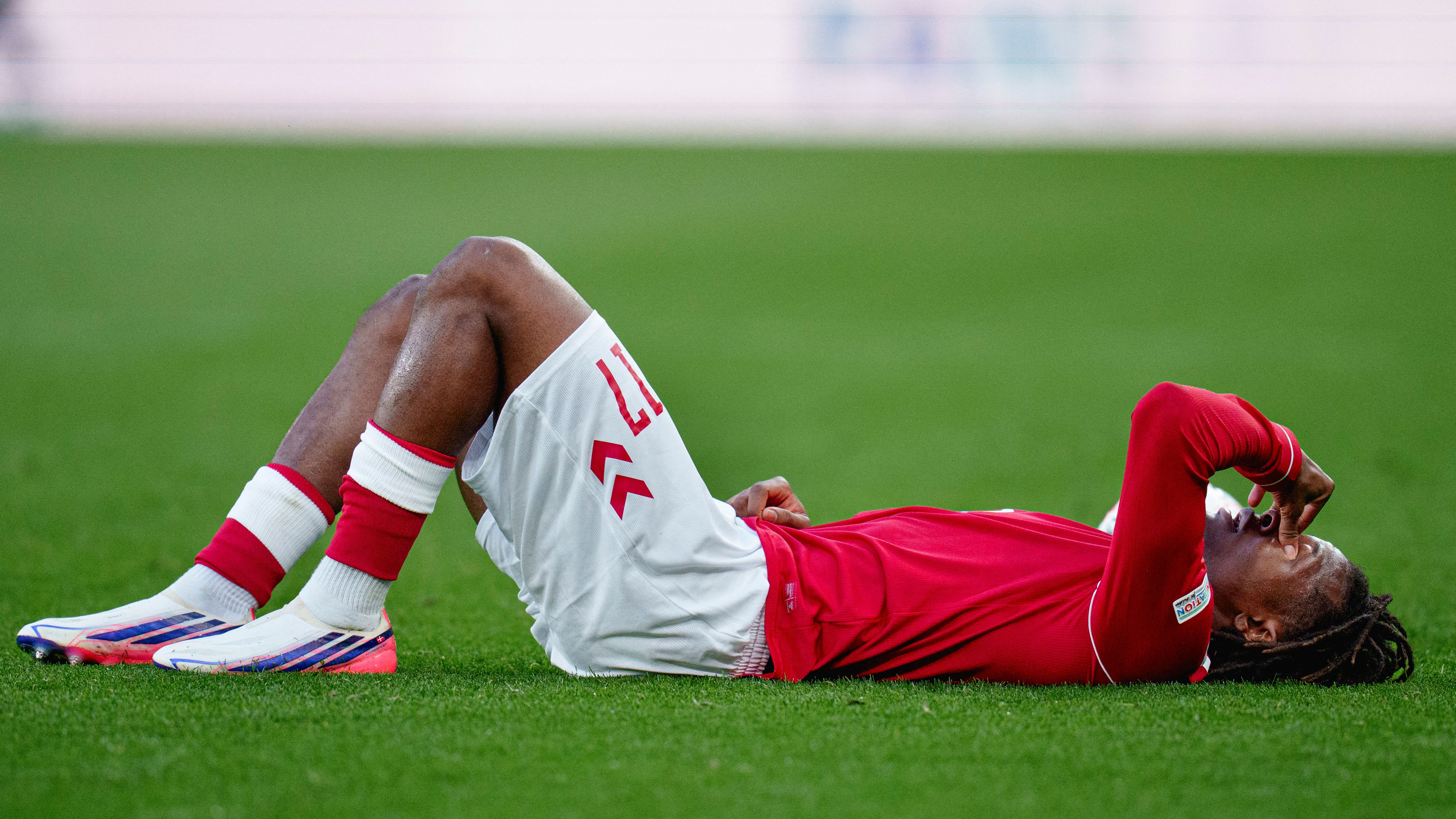 FBL-EUR-NATIONS-DEN-WAL