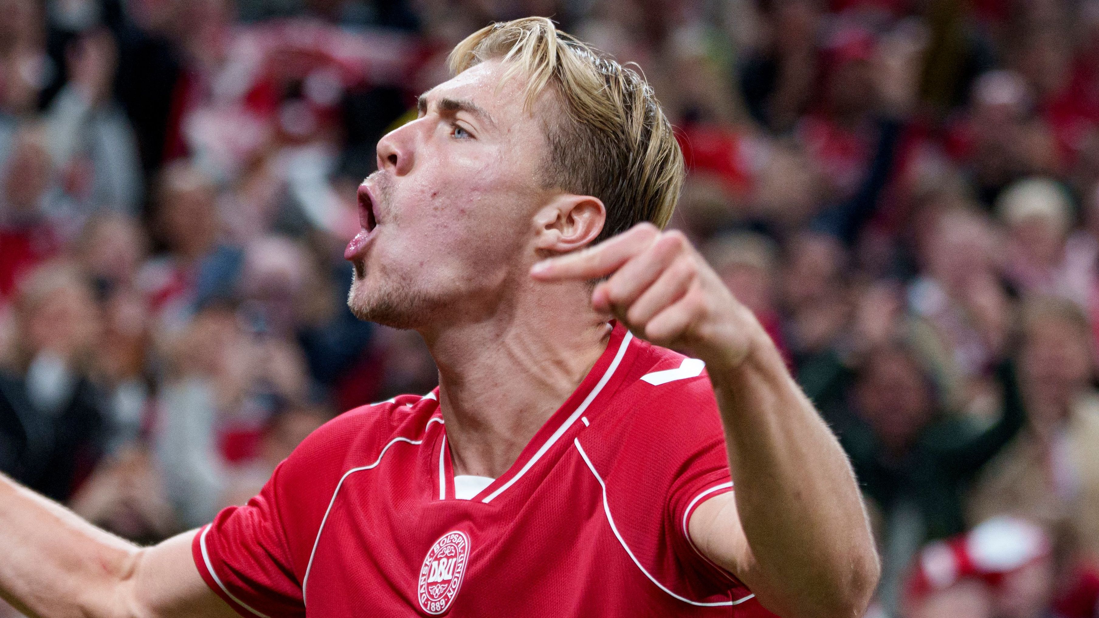 FBL-EUR-NATIONS-DEN-POR