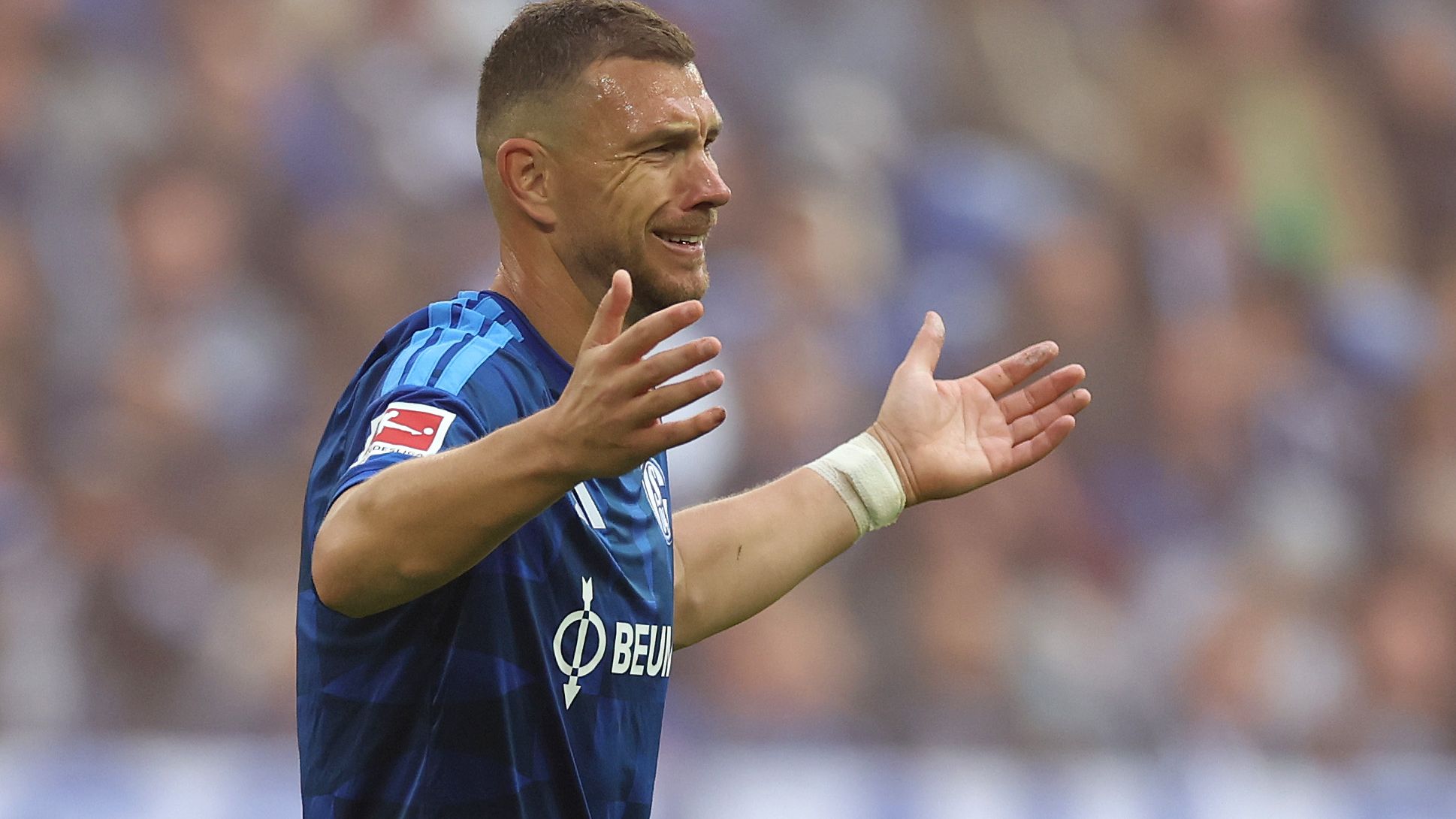 FC Schalke 04 v 1. FSV Mainz 05 - Bundesliga 2026/27