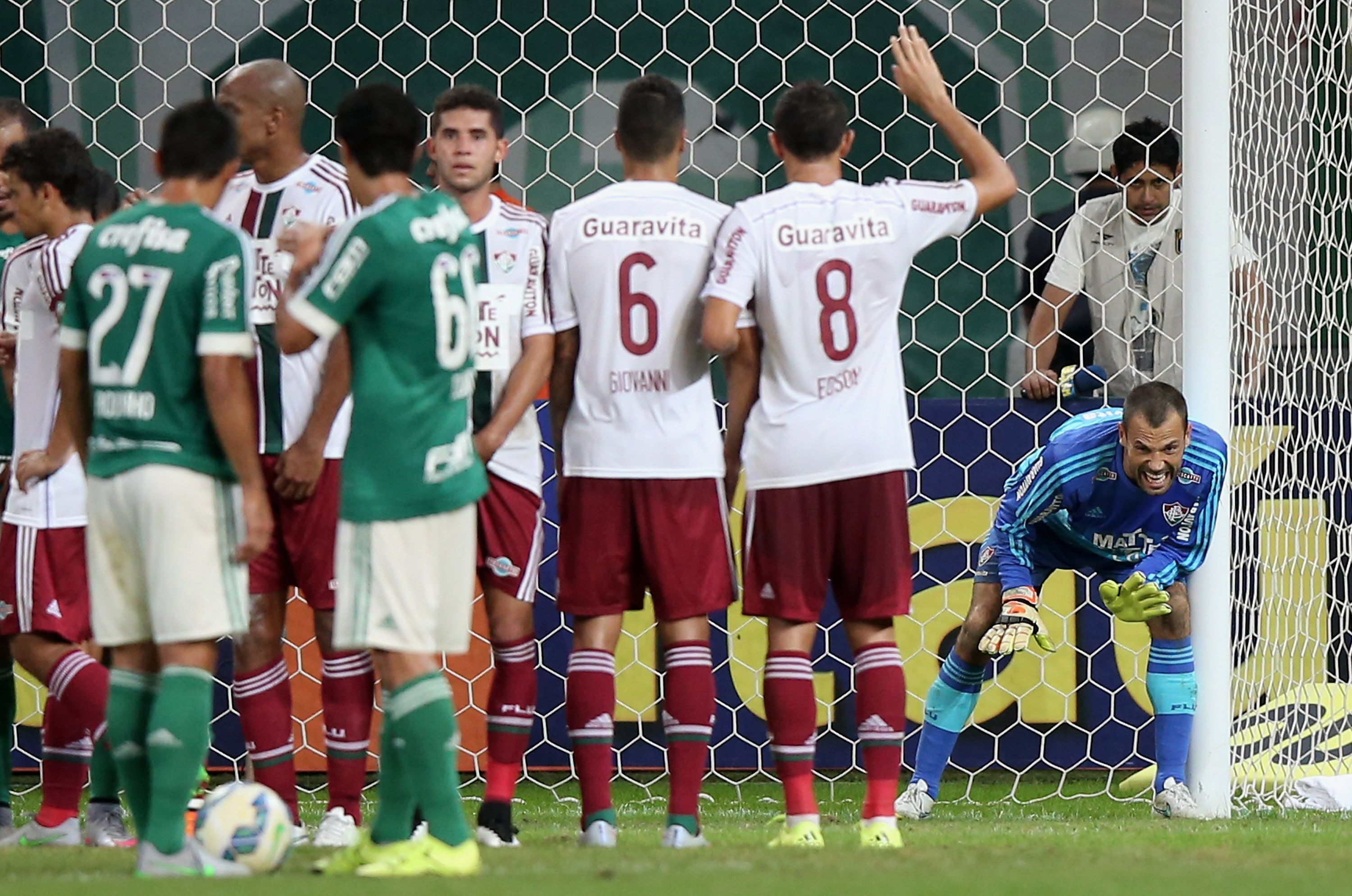 Palmeiras v Fluminense - Brasileirao Series A 2015