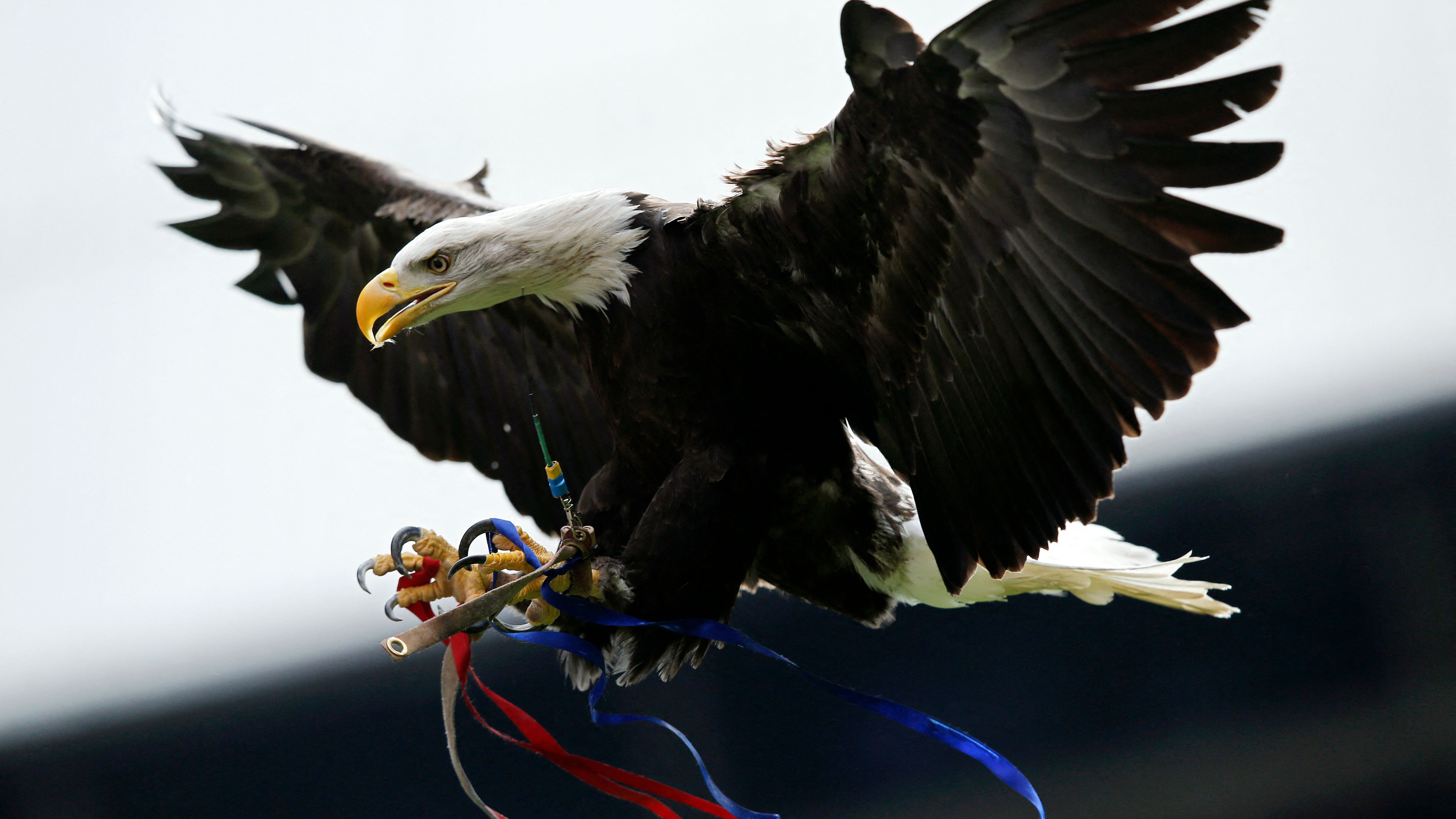 FBL-ENG-PR-CRYSTAL PALACE-MAN CITY