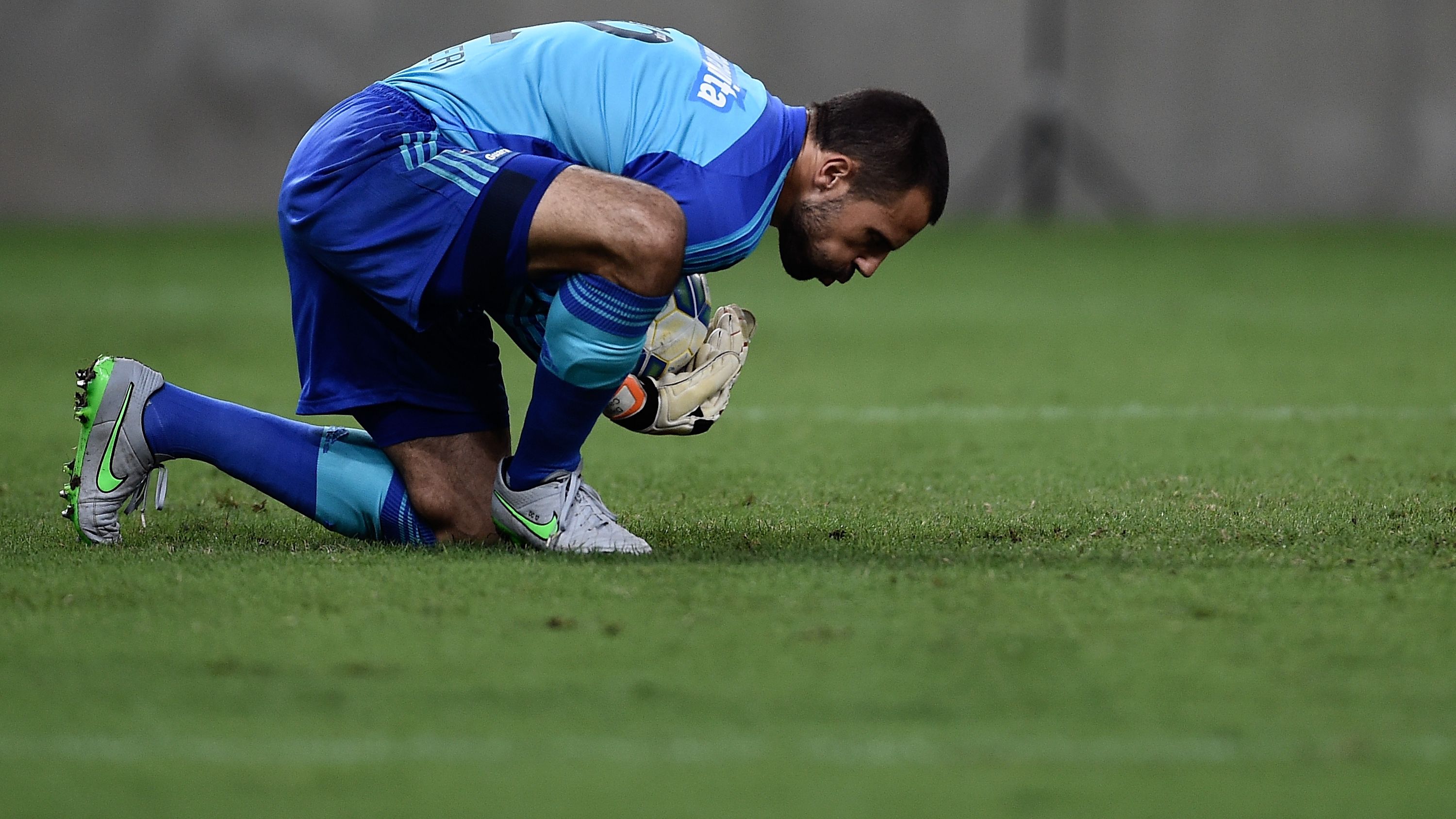 Fluminense v Palmeiras - Brasileirao Series A 2015