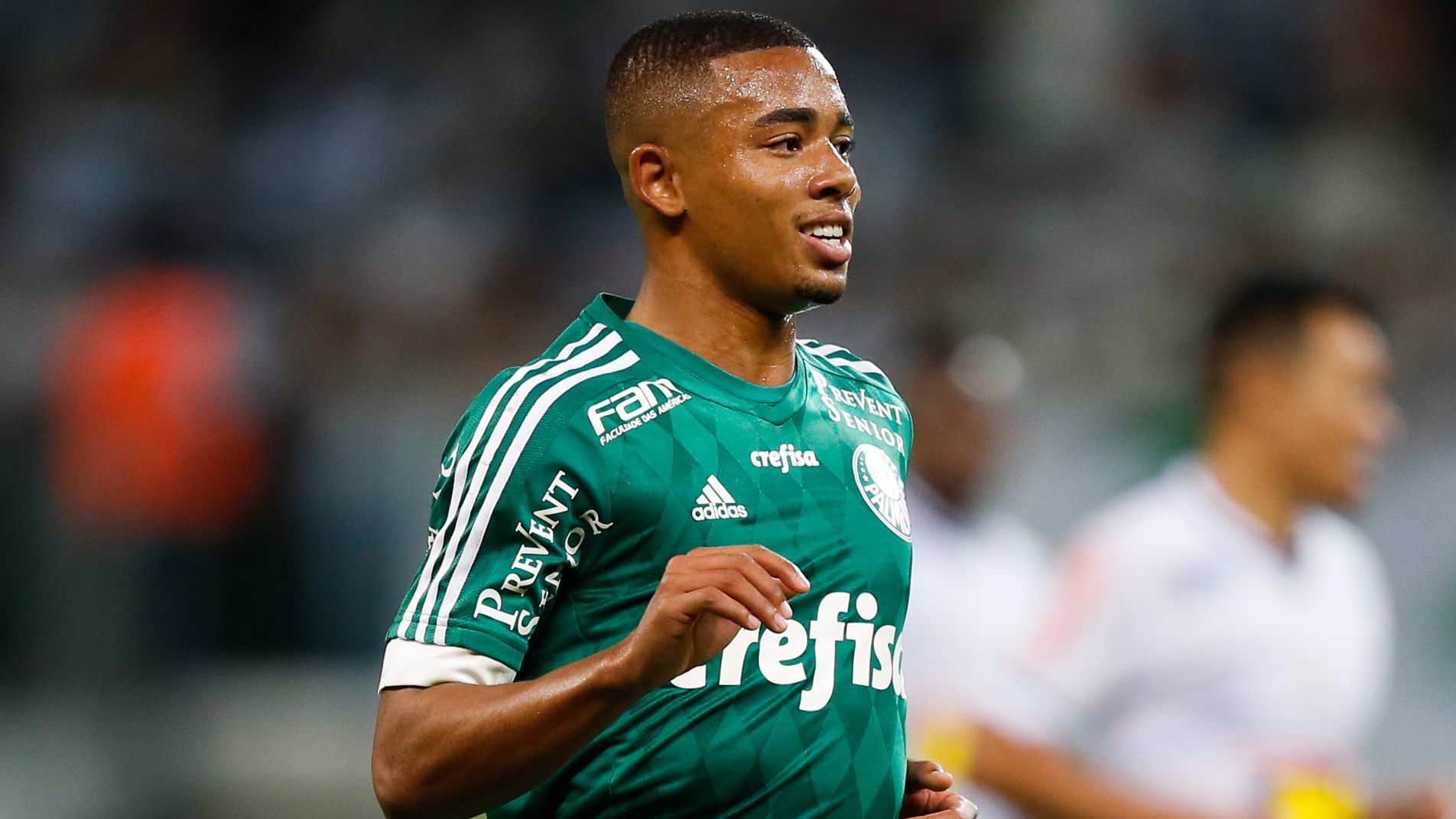 Palmeiras v Cruzeiro - Brasileirao Series A 2015