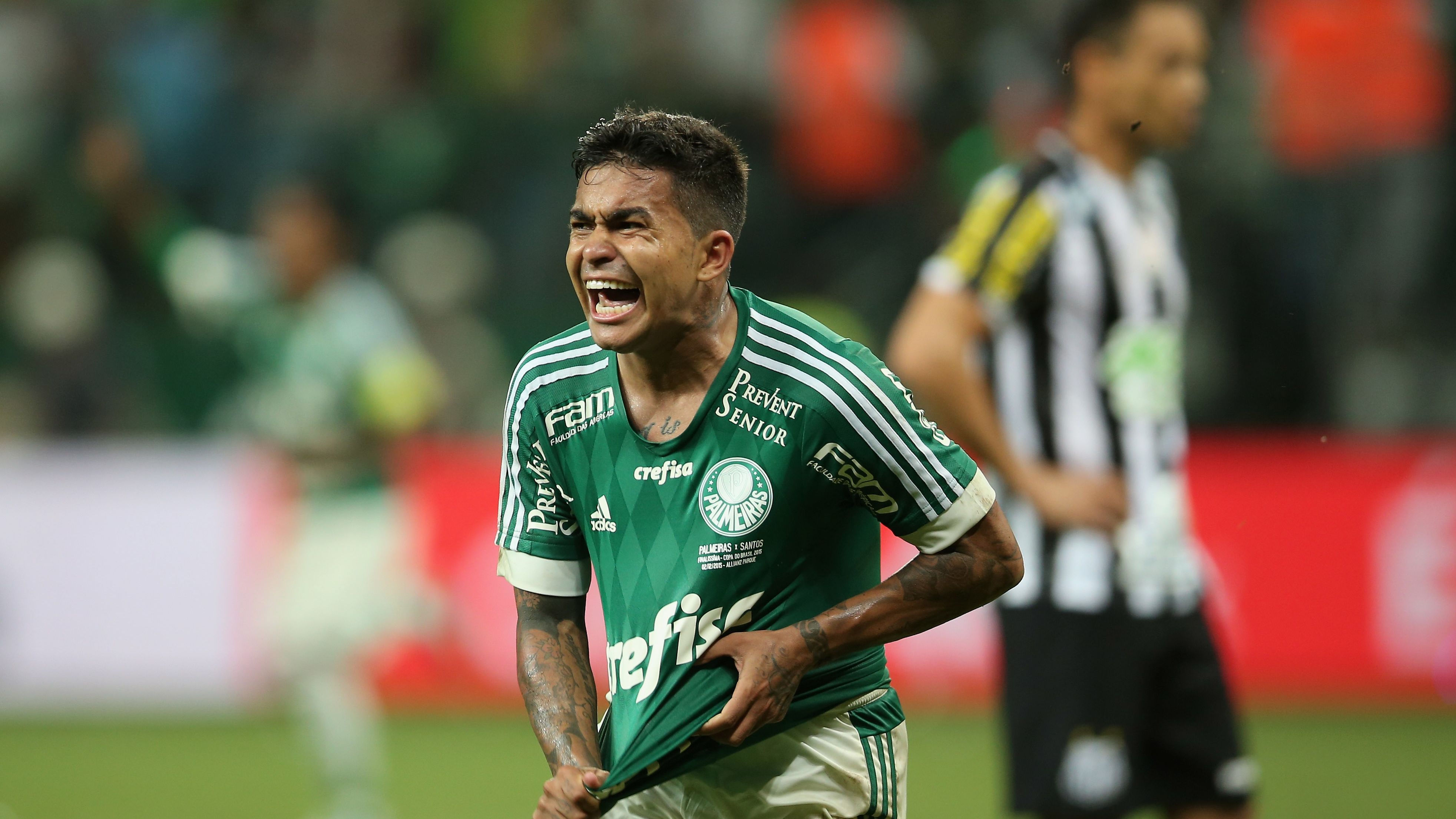 Palmeiras v Santos - Copa do Brasil 2015 Final