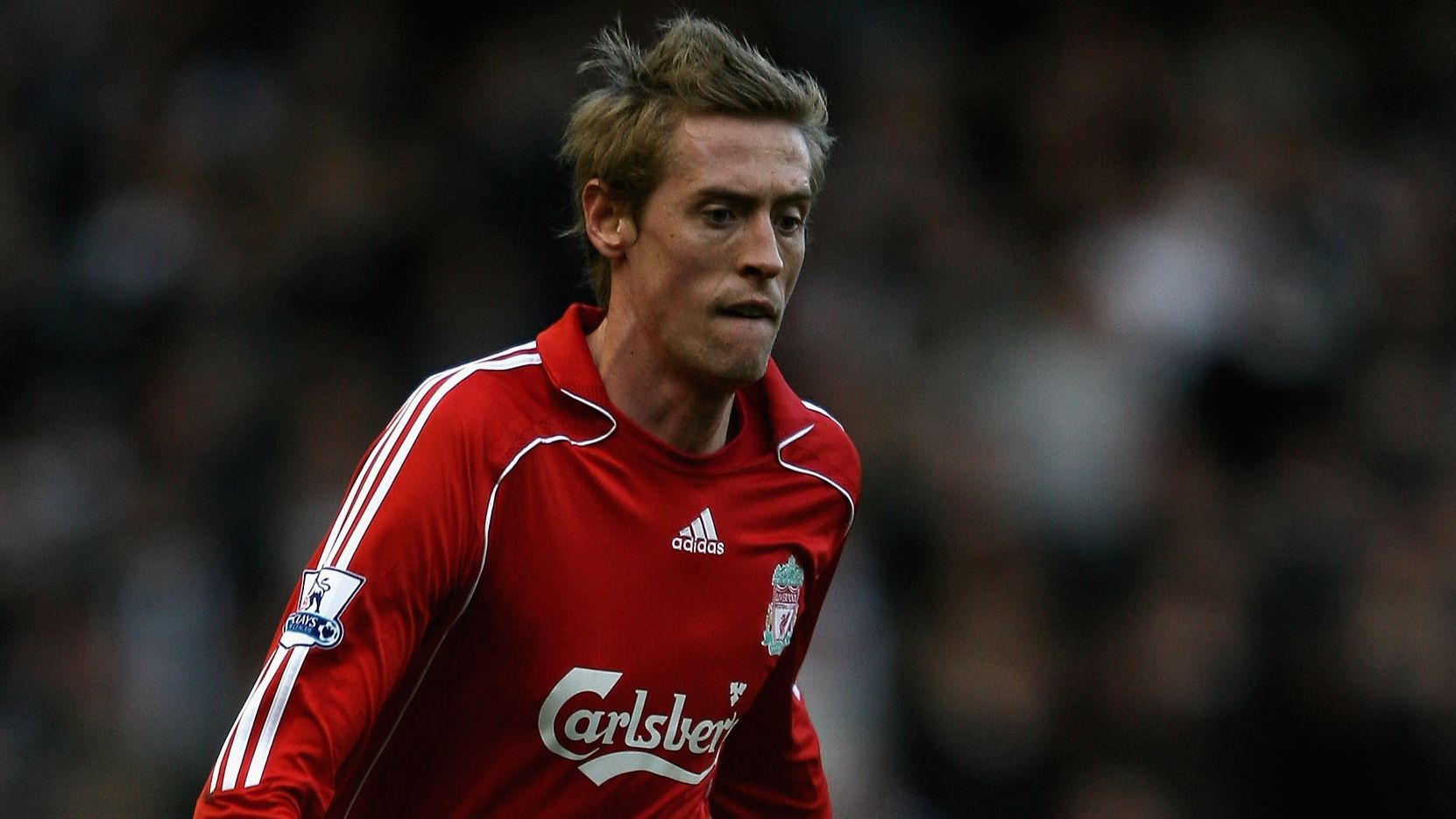 Qoshni bilan porno va