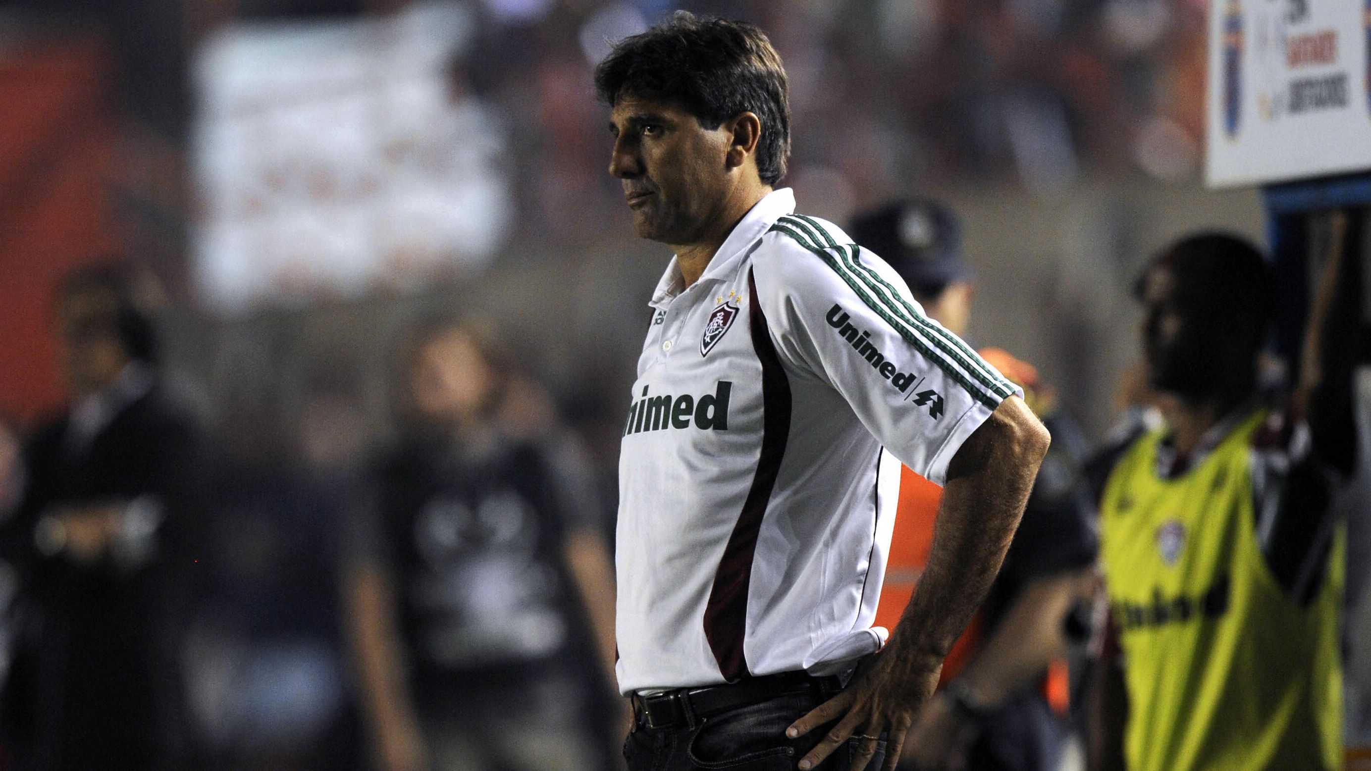 Brazilian Fluminense' s coach Renato Por
