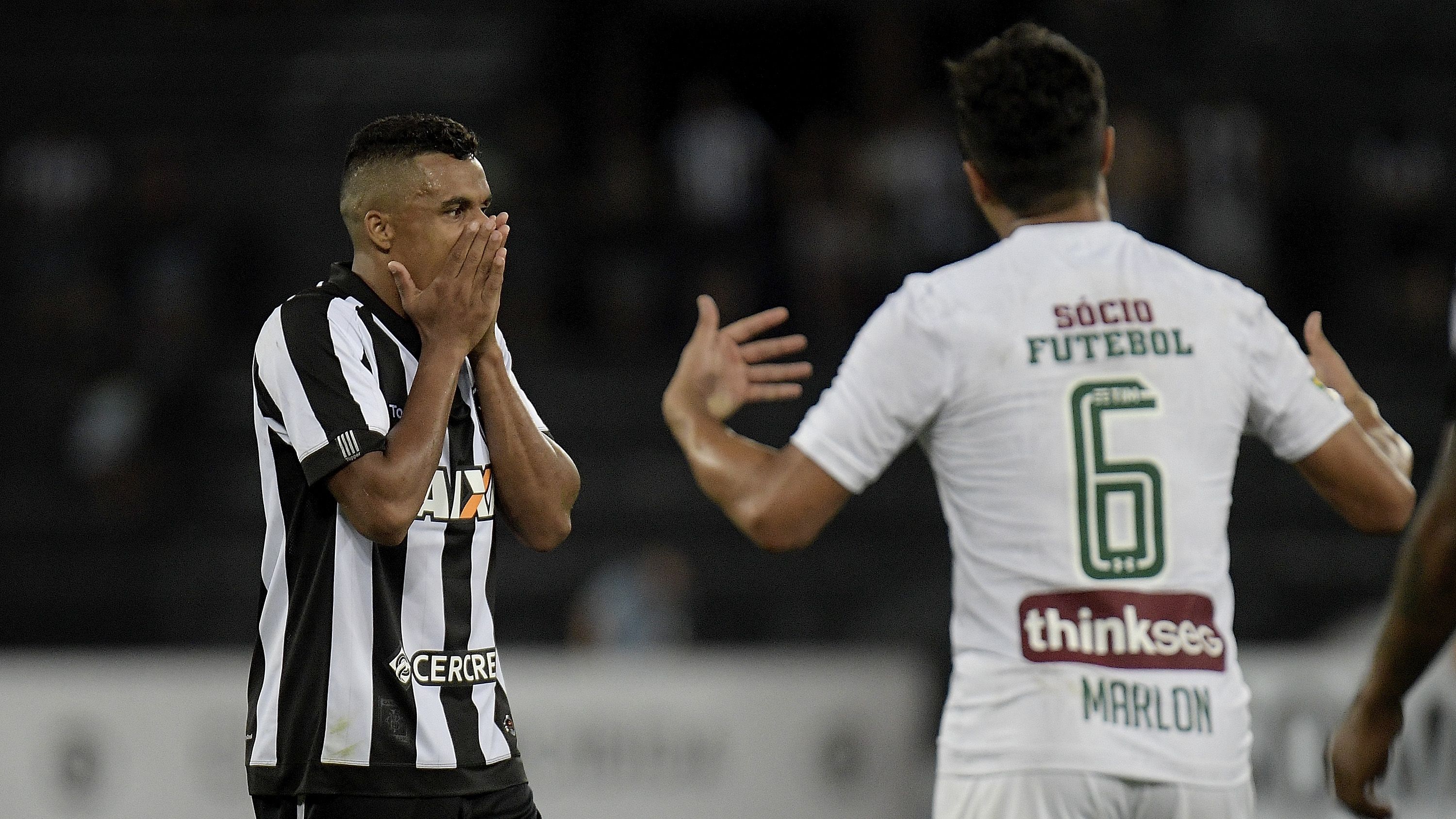 Botafogo v Fluminense - Brasileirao Series A 2017