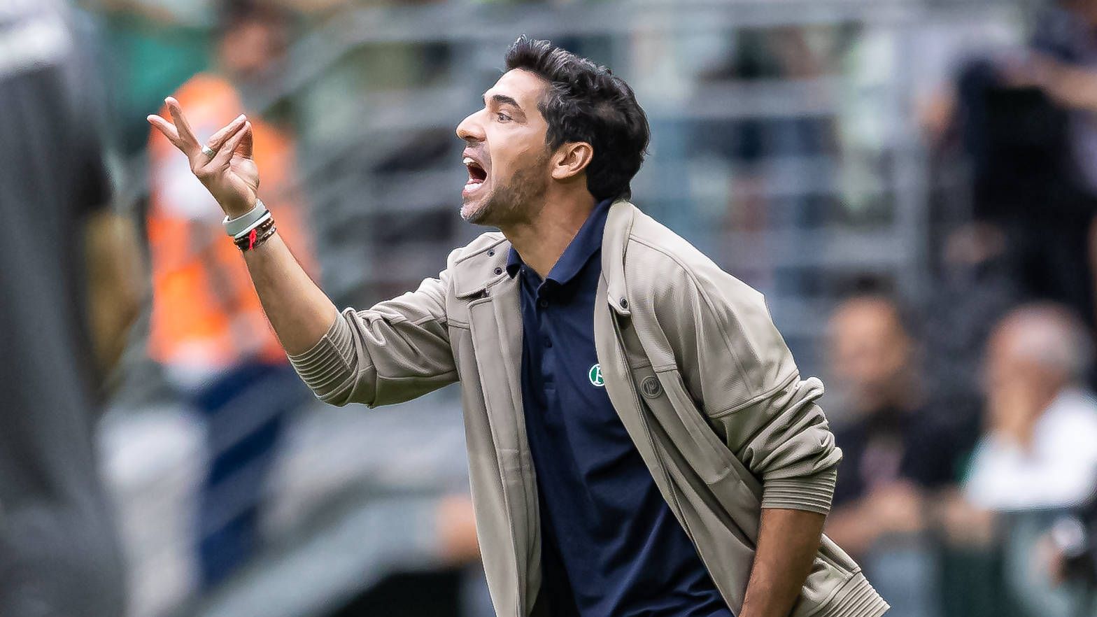 Palmeiras vê Fla se aproximar no Brasileirão e acende alerta