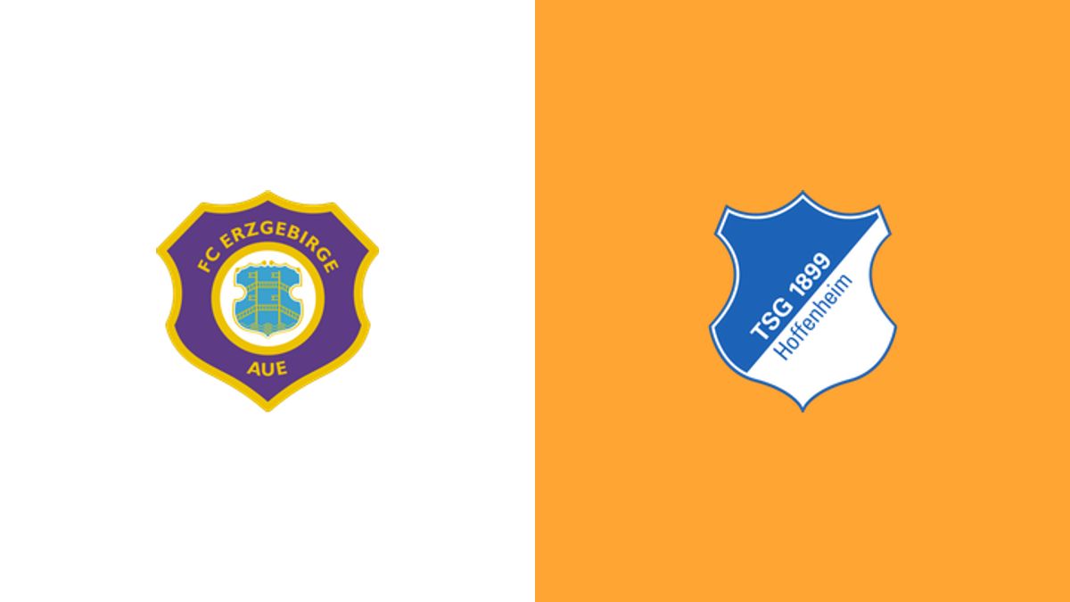 Erzgebirge Aue vs Hoffenheim