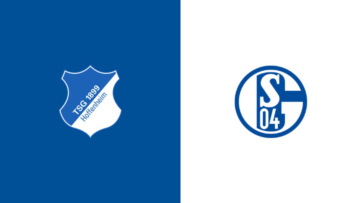 Hoffenheim vs Schalke 04