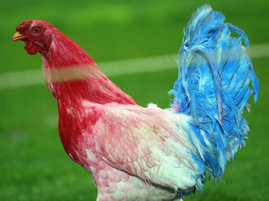 ¿Por qué el gallo es el símbolo de Francia
