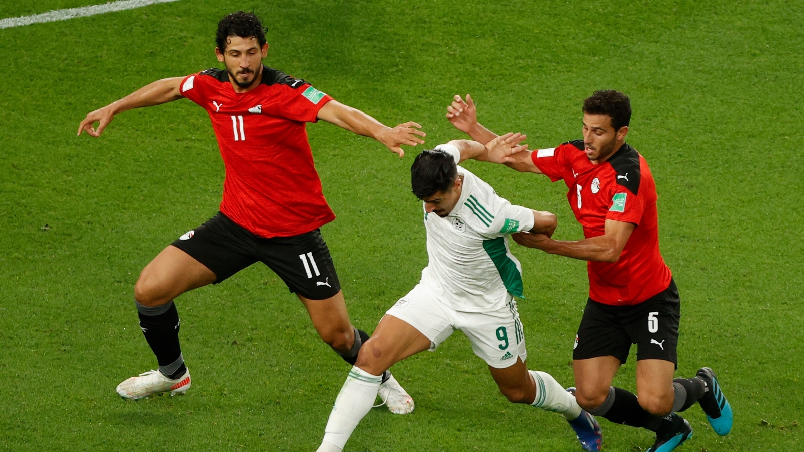 نتيجة مباراة مصر والجزائر