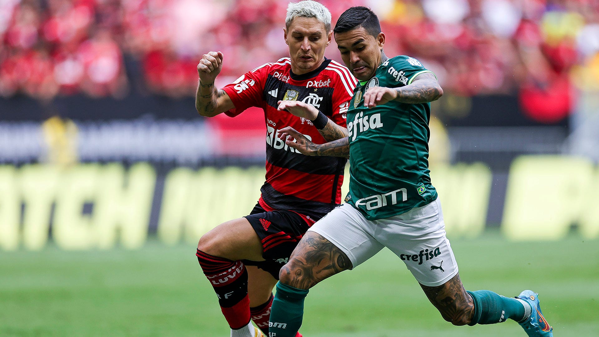Brasileirão: como foram os últimos jogos entre Flamengo e Palmeiras?
