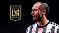Giorgio Chiellini Juventus LAFC crest GFX