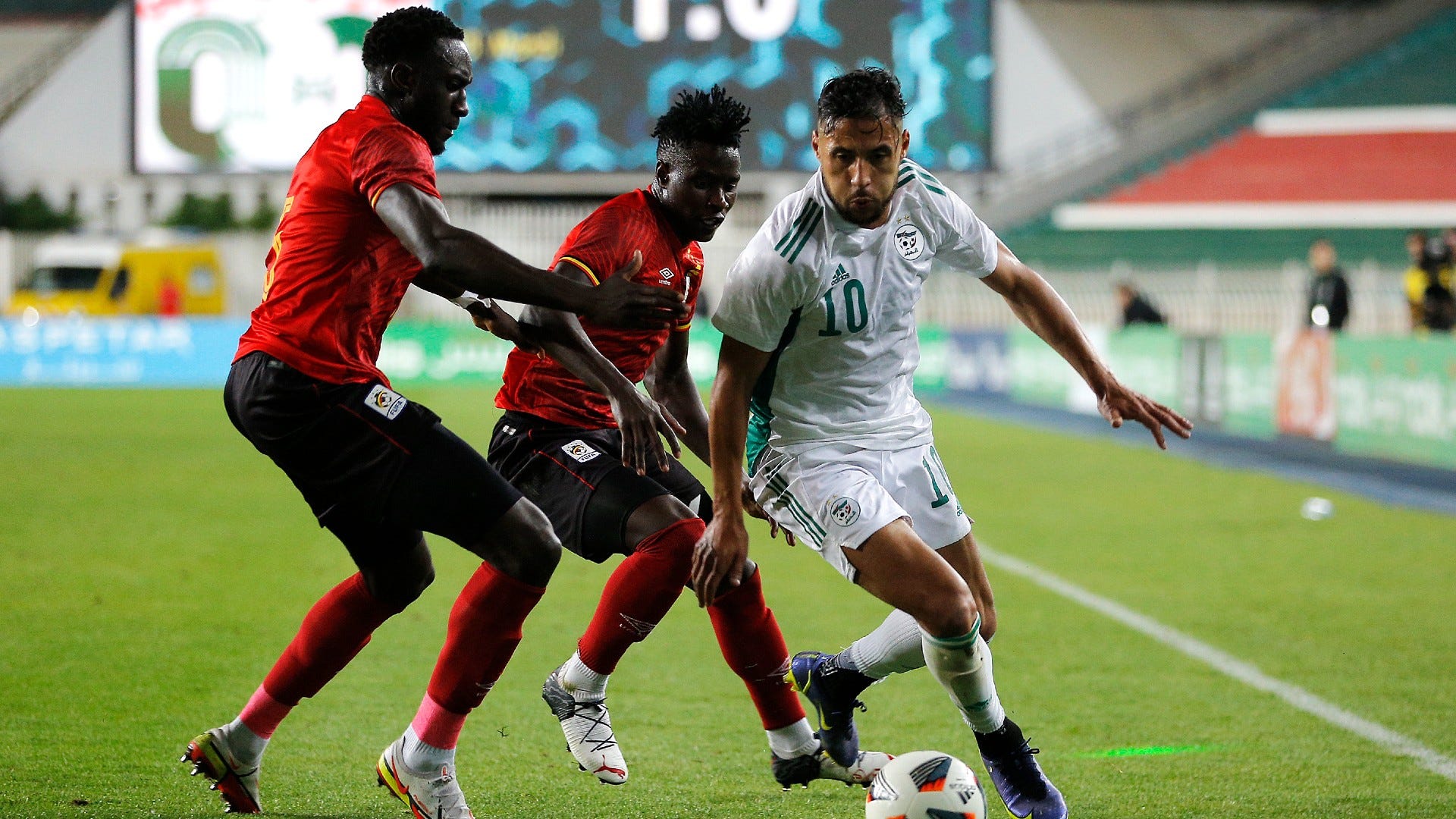 Nigeria vs Algeria: Desert Foxes capable of wreaking havoc on Super Eagles  | Goal.com Nigeria