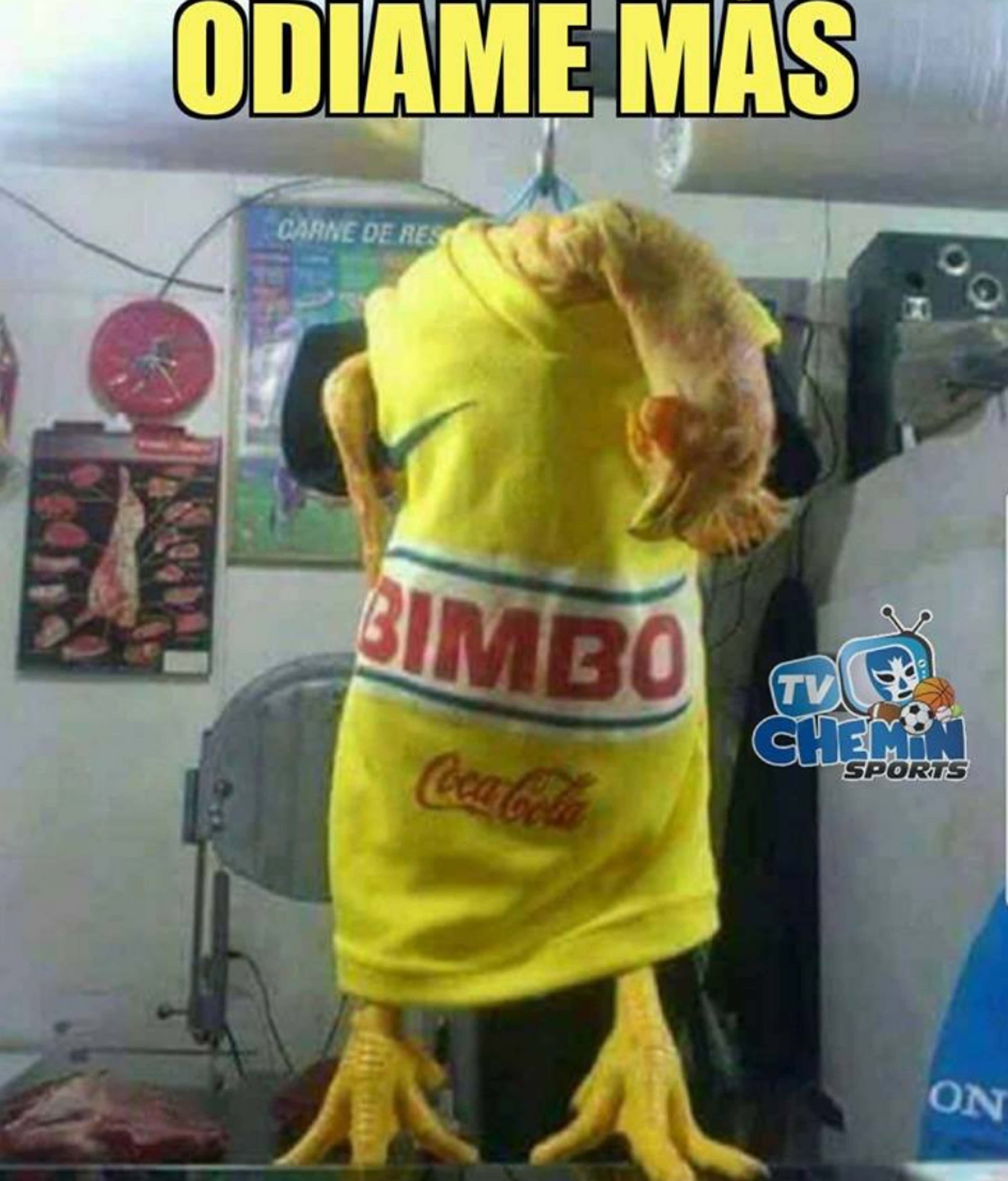Los memes de la eliminación del América 'vengan' a Pumas, Chivas y compañía   Colombia
