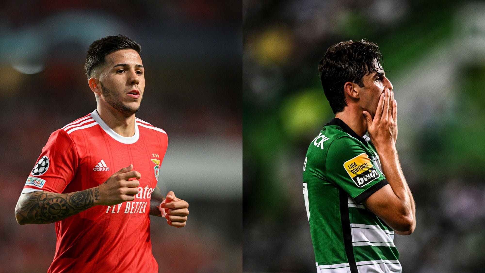 Benfica – Sporting Portugal: all the practical information