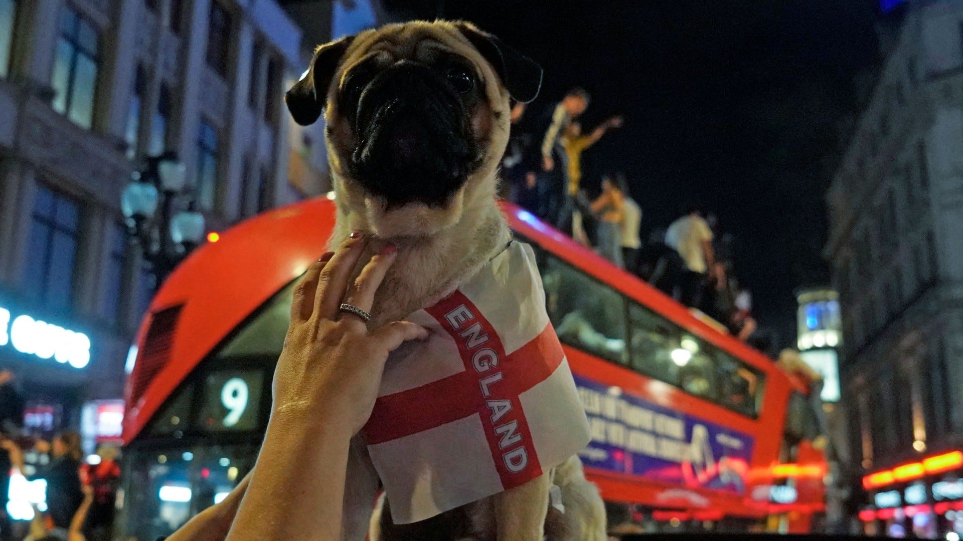 England fan dog Euro 2020