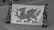Wales Fans Flag Flagge