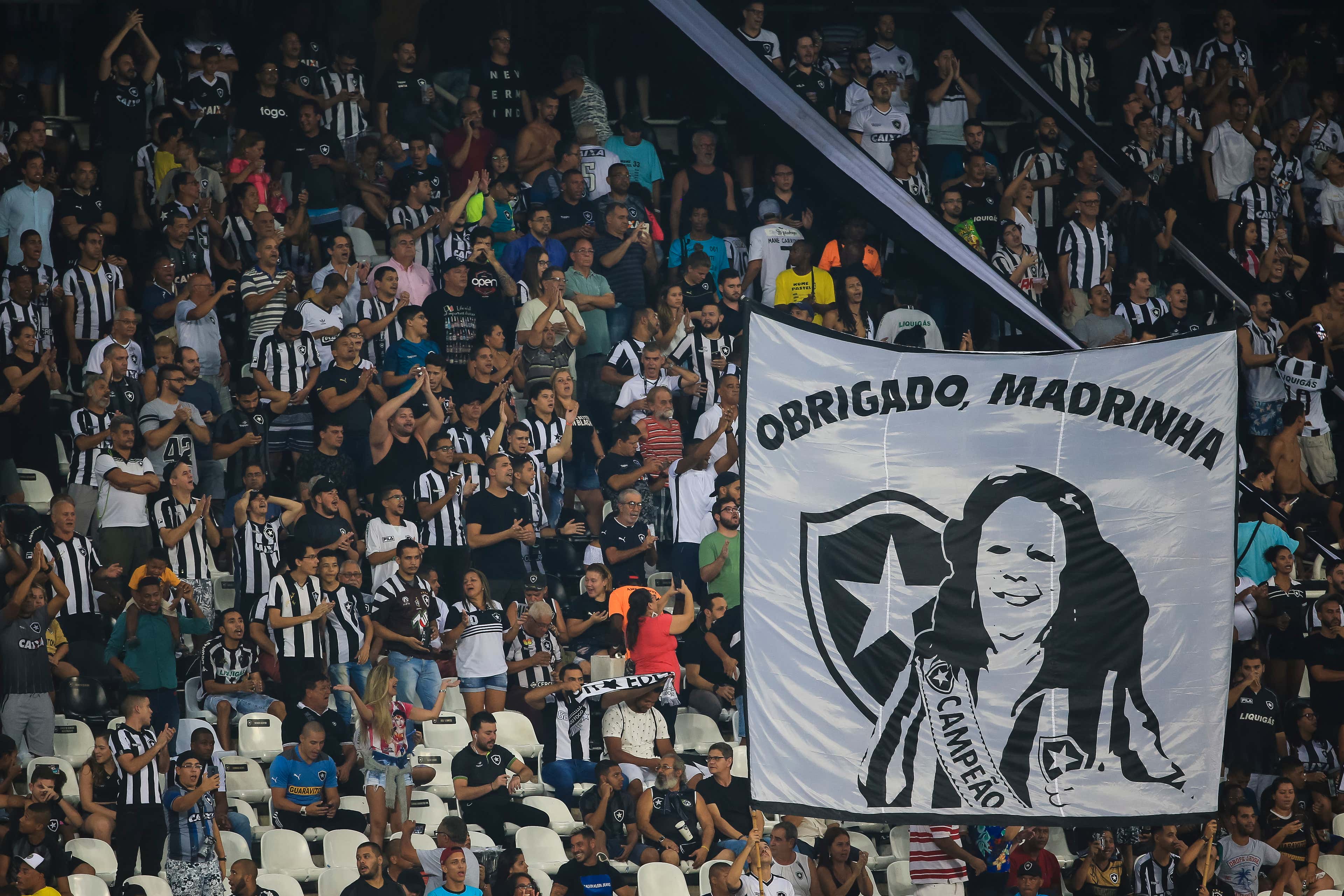 Botafogo x Grêmio ao vivo: como assistir online e transmissão na TV do jogo  do Brasileirão - Portal da Torcida