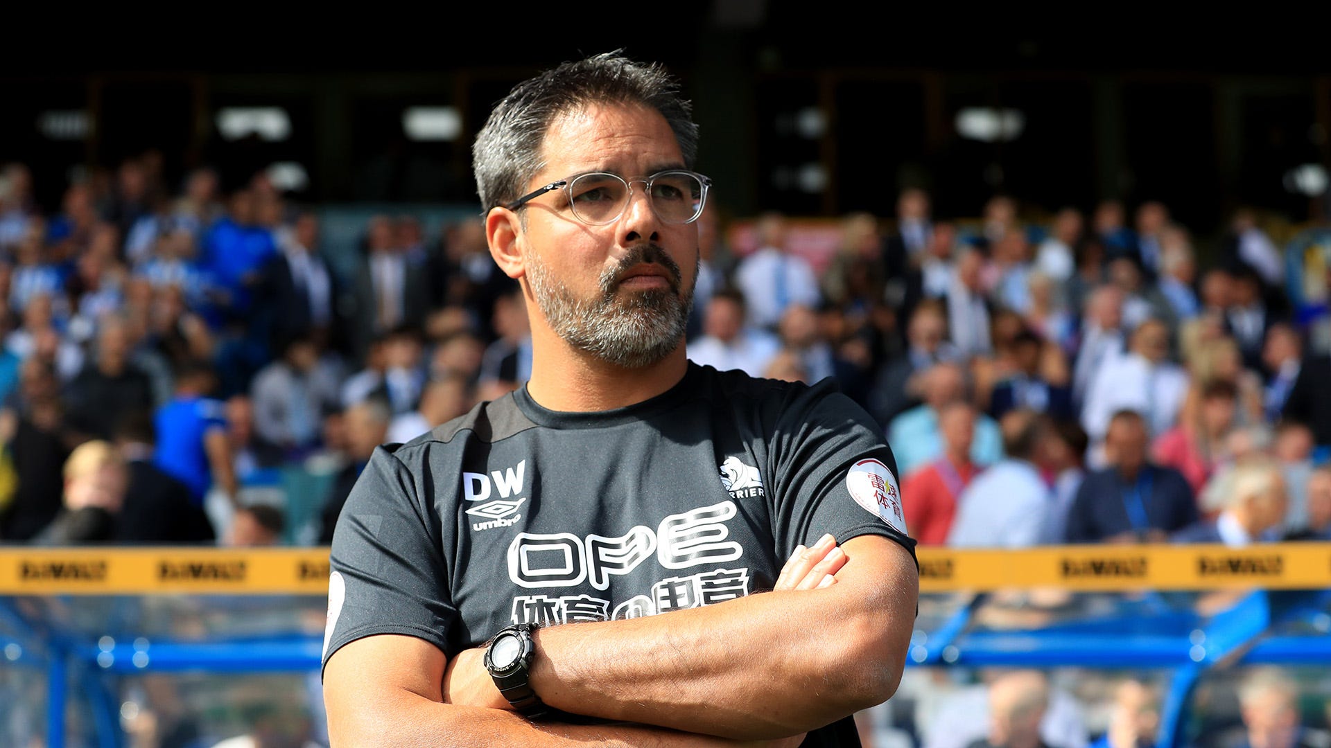 Schalke appoint former Huddersfield manager David Wagner as new head coach   India