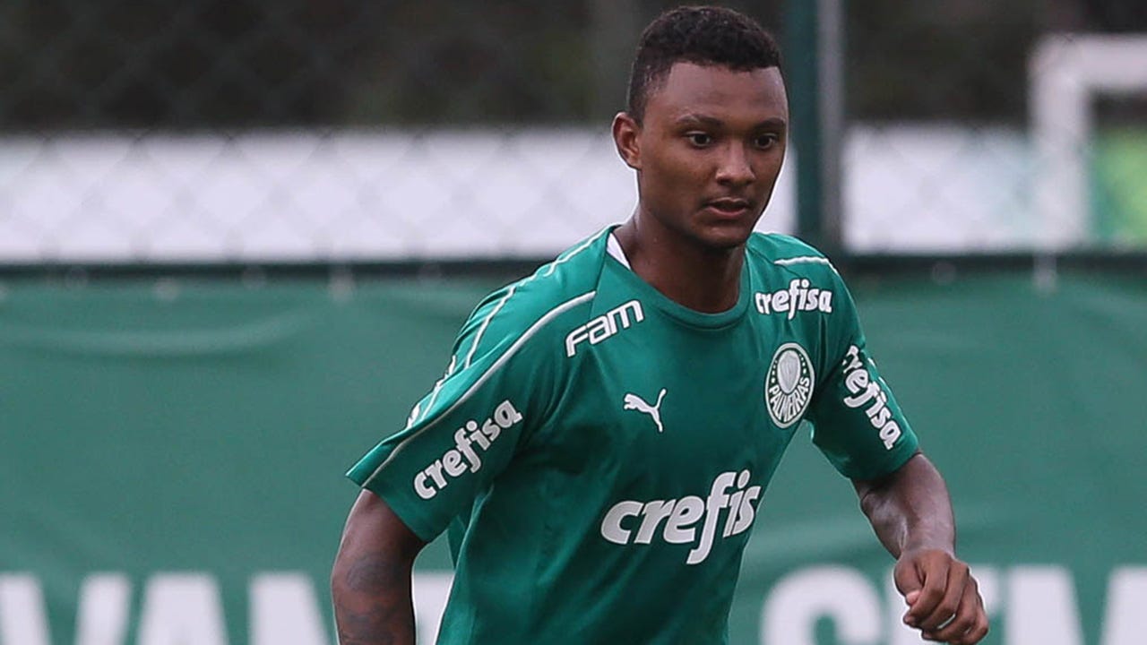 Luan Cândido Palmeiras 2019