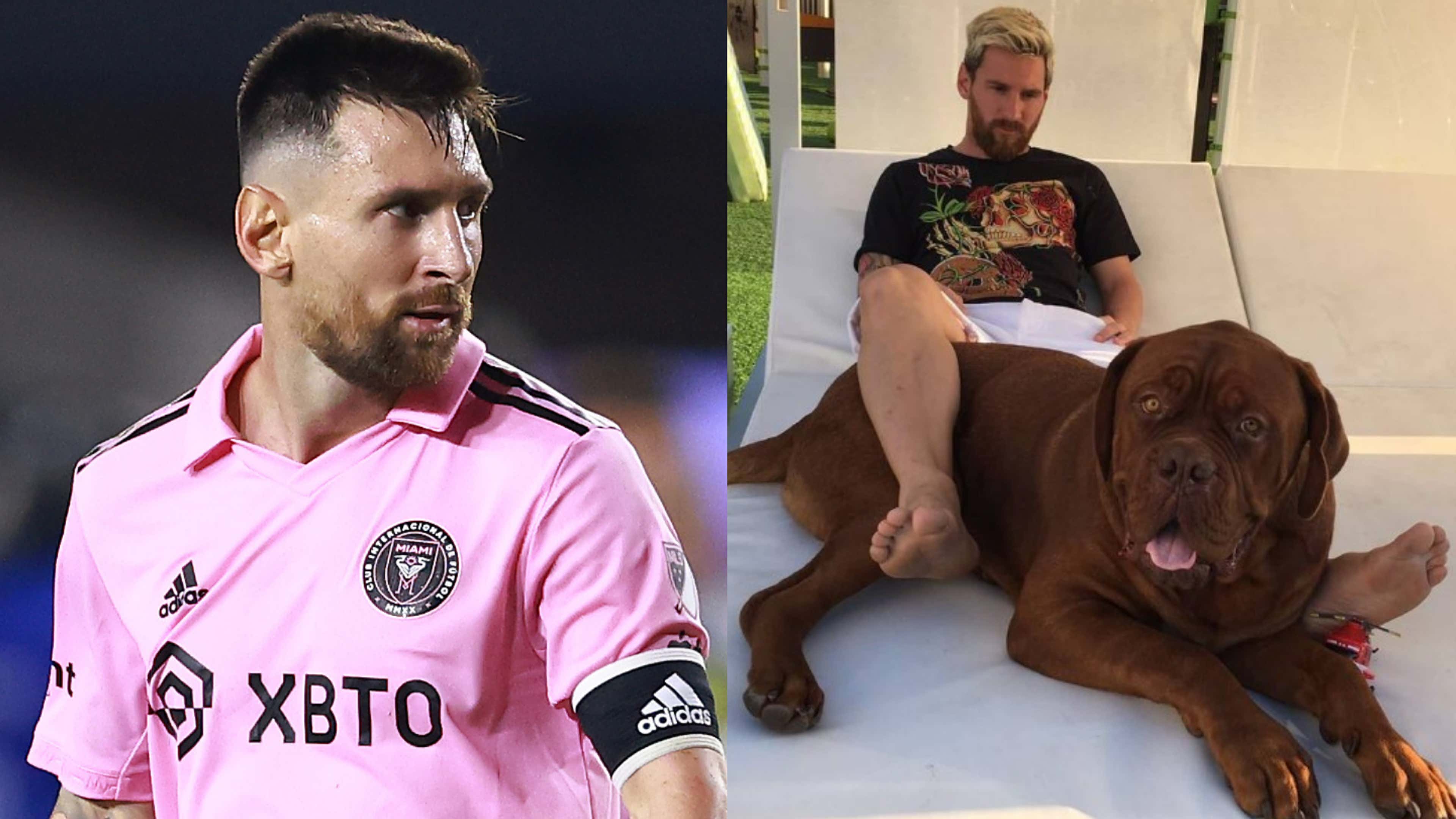 Lionel Messi dog Hulk