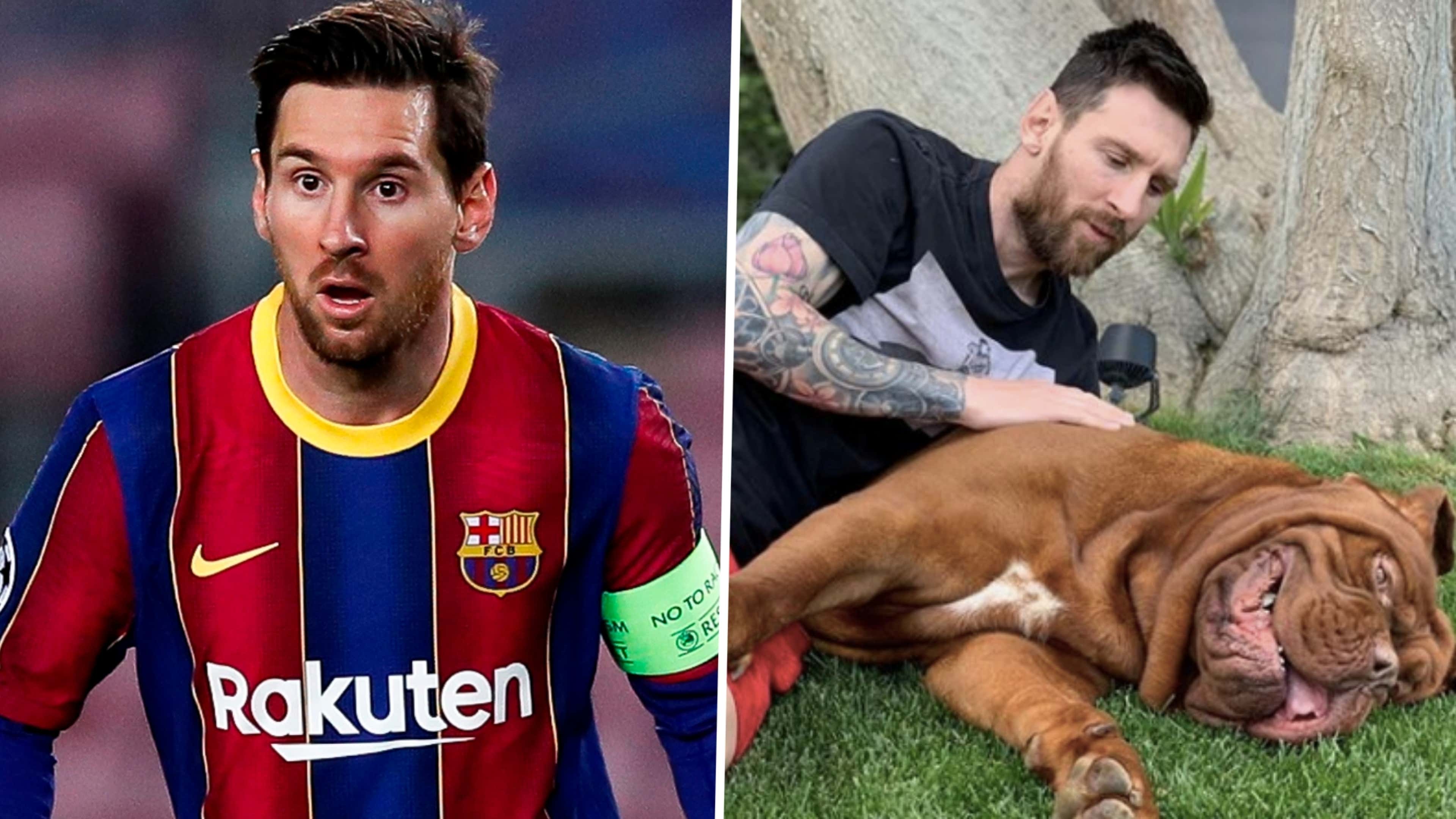 Lionel Messi Barcelona Hulk dog
