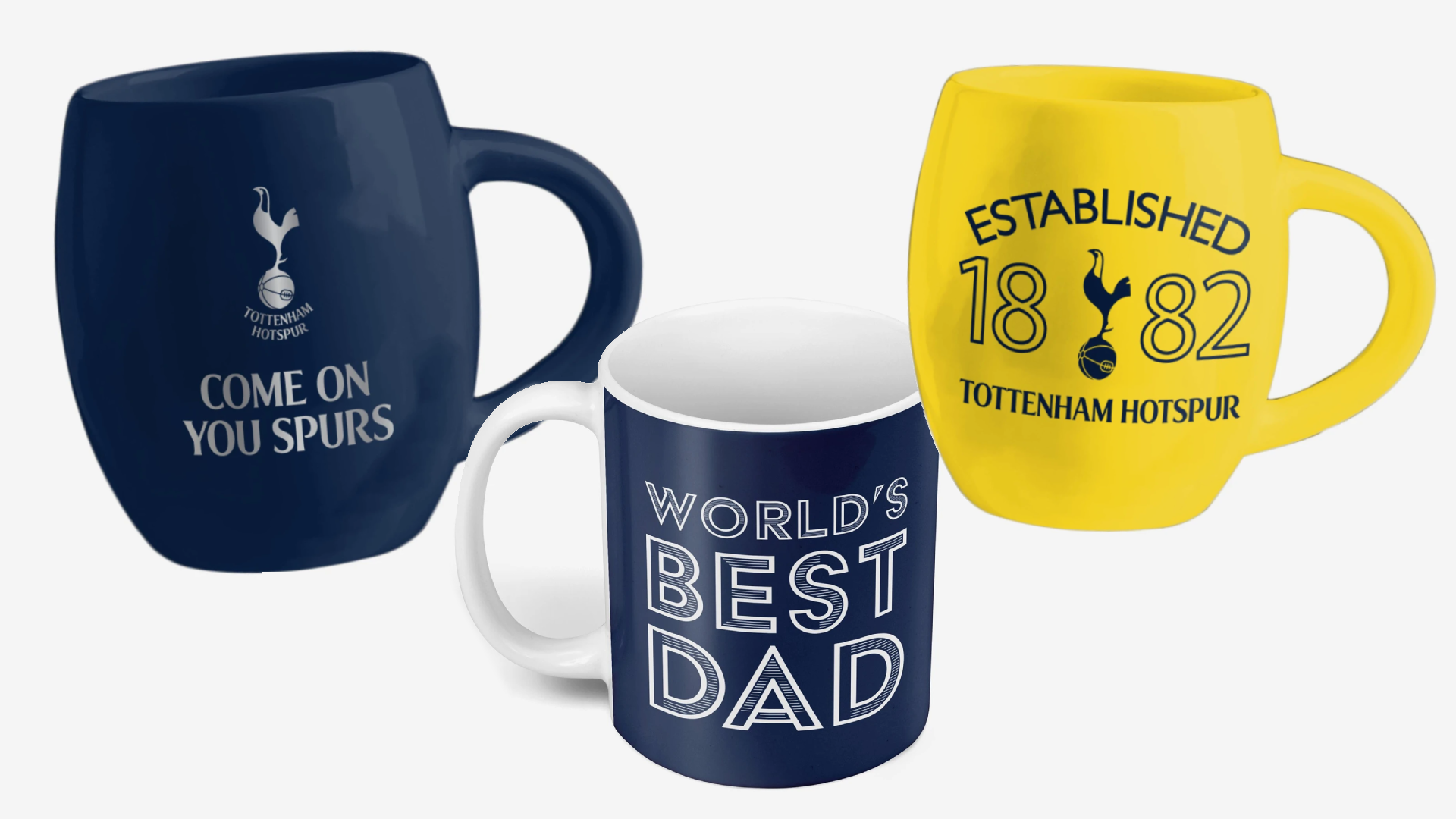 Birthday Gift Idea For Men And Boys by Official Tottenham Hotspur FC Gifts Tottenham Hotspur FC Official Football Gift Keyring A Great Christmas
