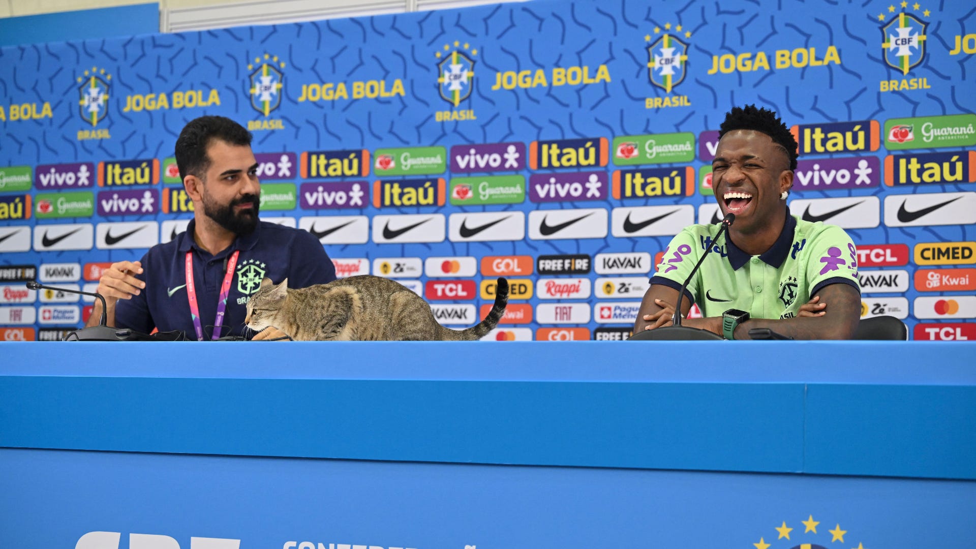 Vinicius Junior Brazil press conference cat World Cup 2022