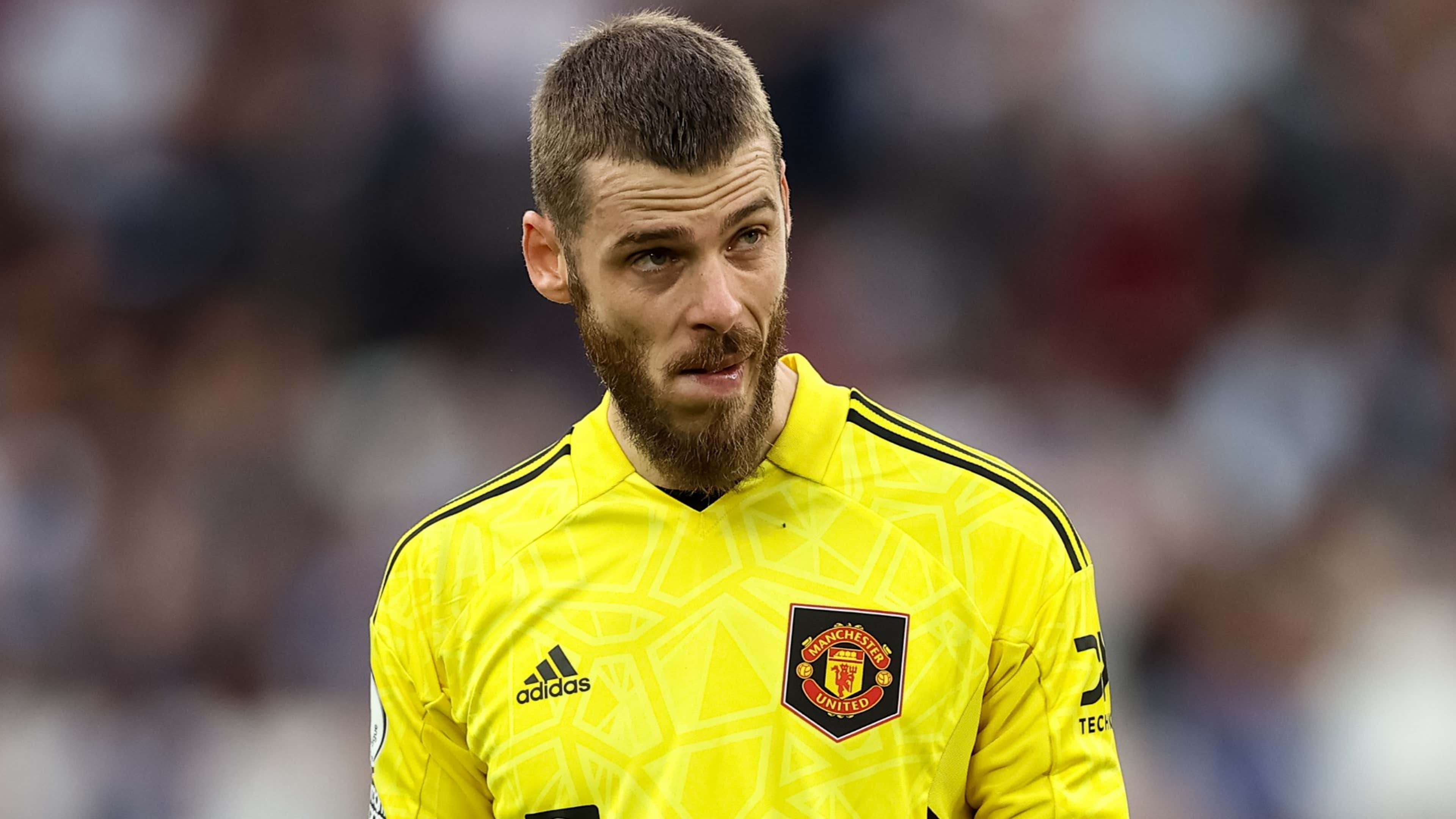 David De Gea to Newcastle?! Former Man Utd goalkeeper linked with shock  move after Magpies lose Nick Pope to long-term shoulder injury | Goal.com