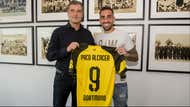 Paco Alcacer, Borussia Dortmund