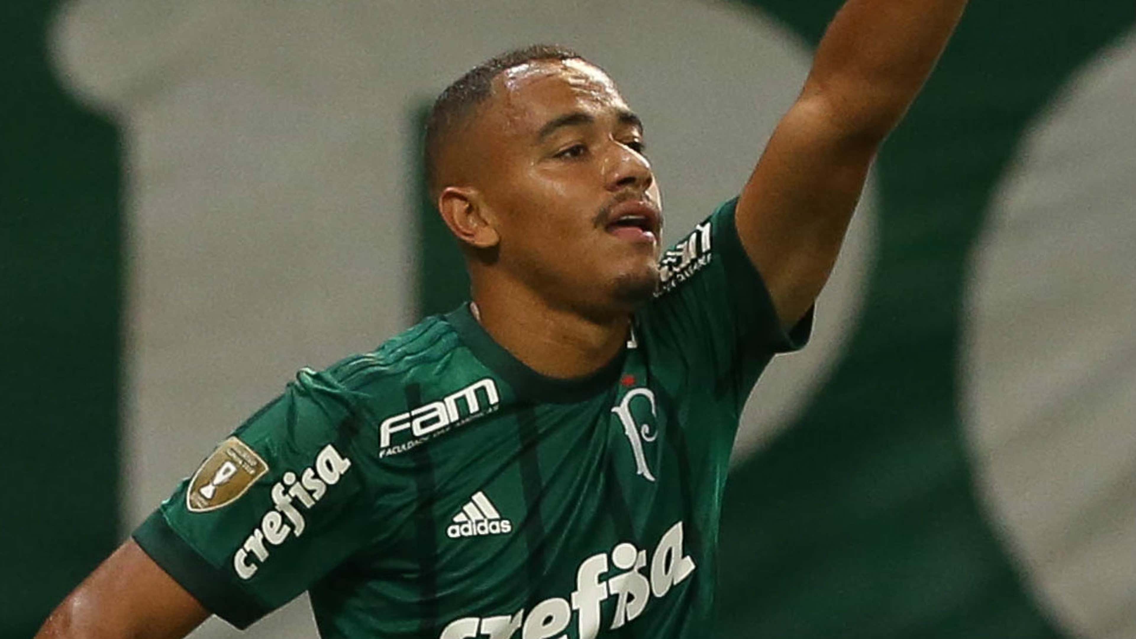Papagaio - Palmeiras - 21/03/2018