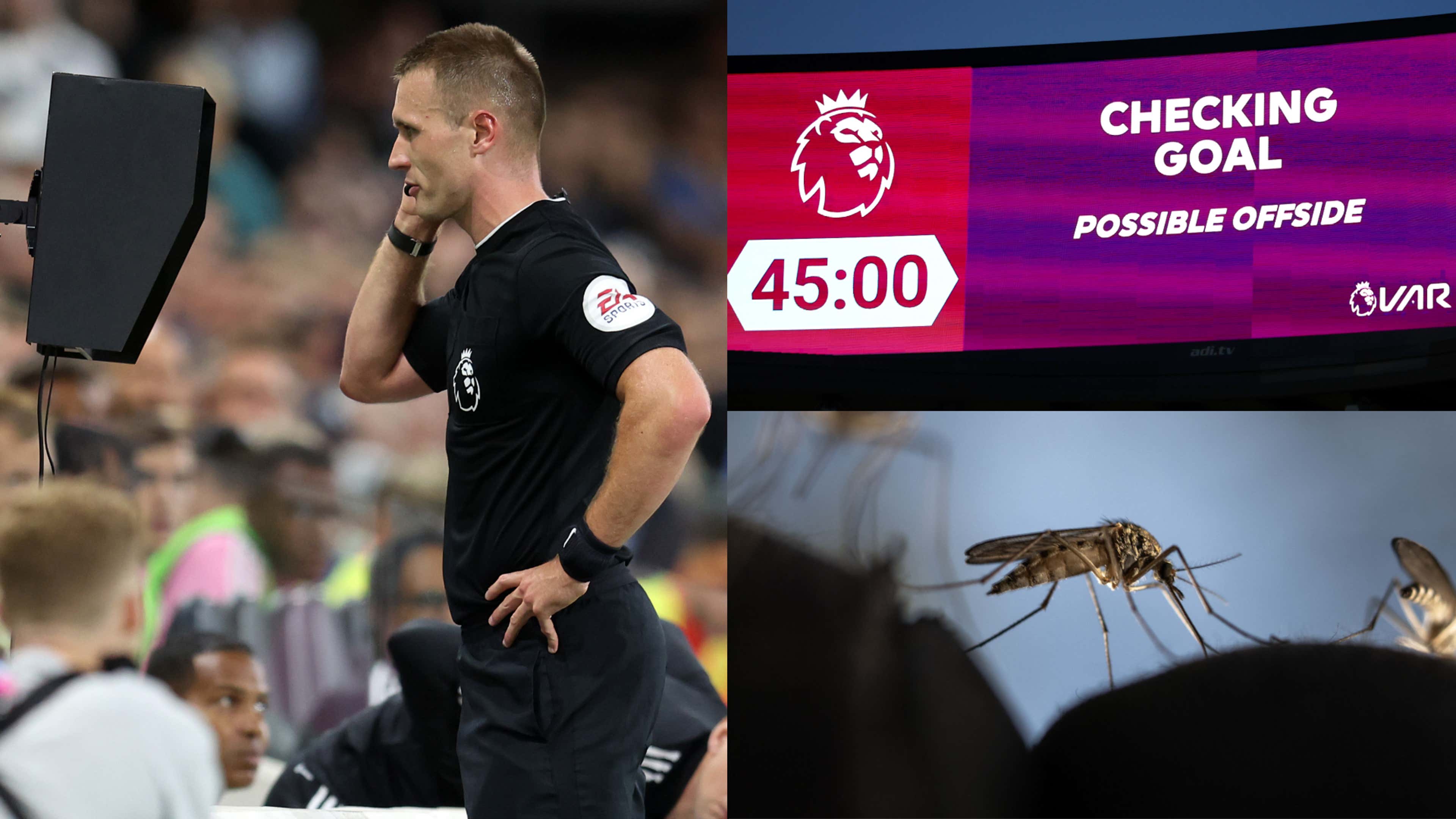 Premier League VAR mosquito
