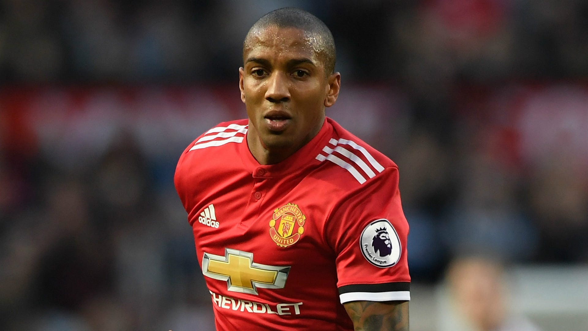 Хит янг. Ashley young.