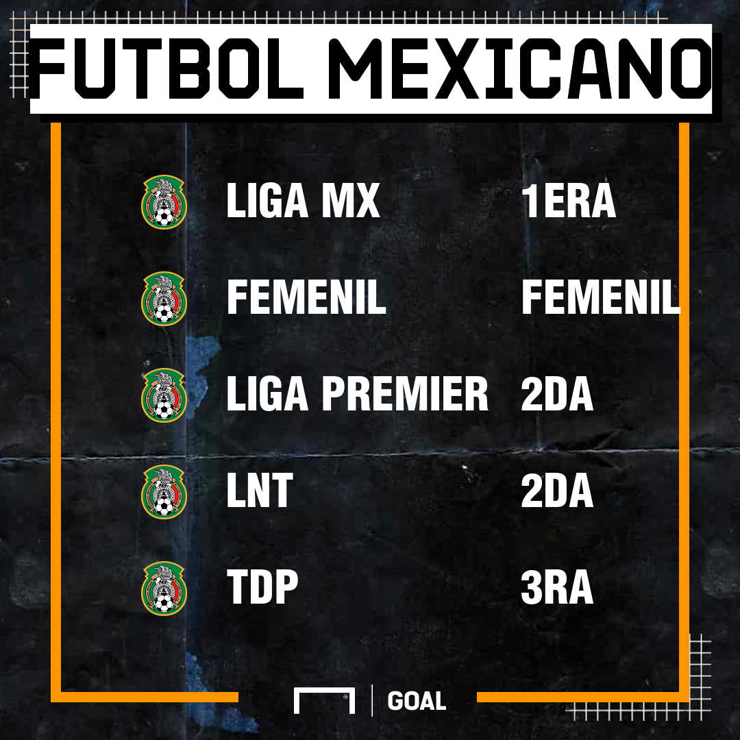 ¿Cuántas divisiones tiene el fútbol mexicano