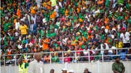 Zambia fans